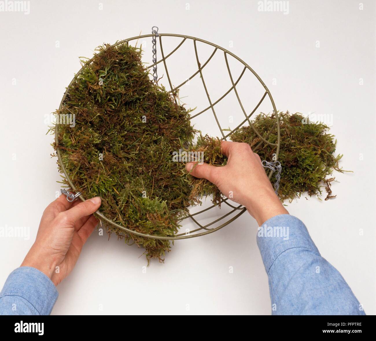 Hanging basket moss hires stock photography and images Alamy