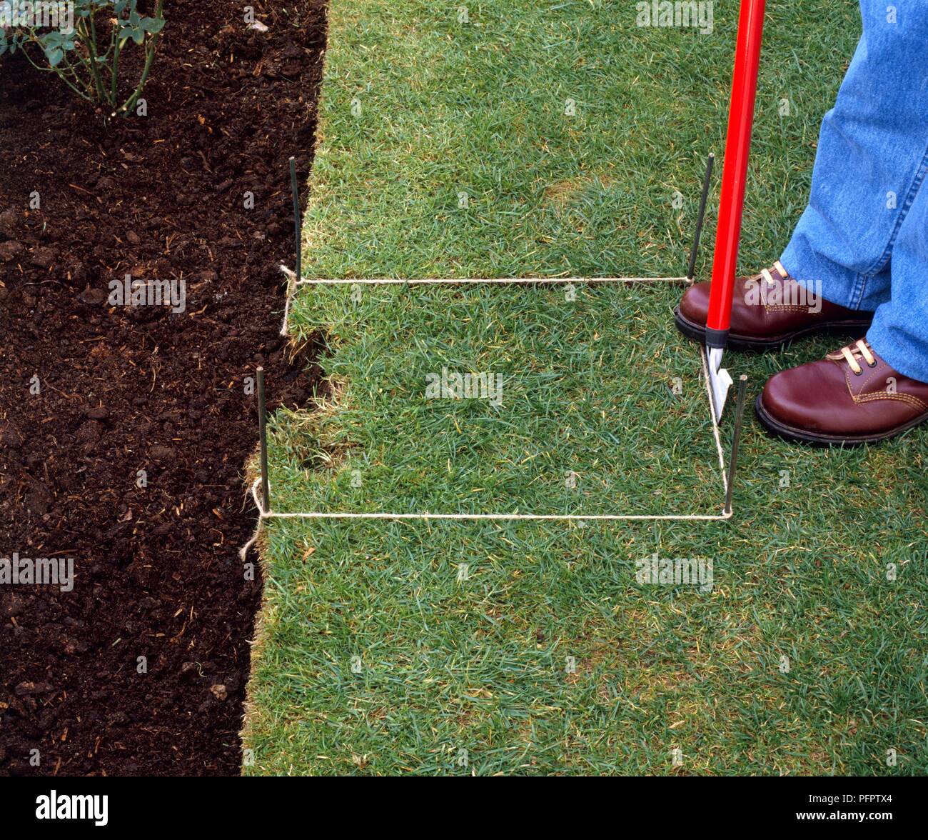 Person cutting out marked-out area of damaged turf with a half-moon edger Stock Photo