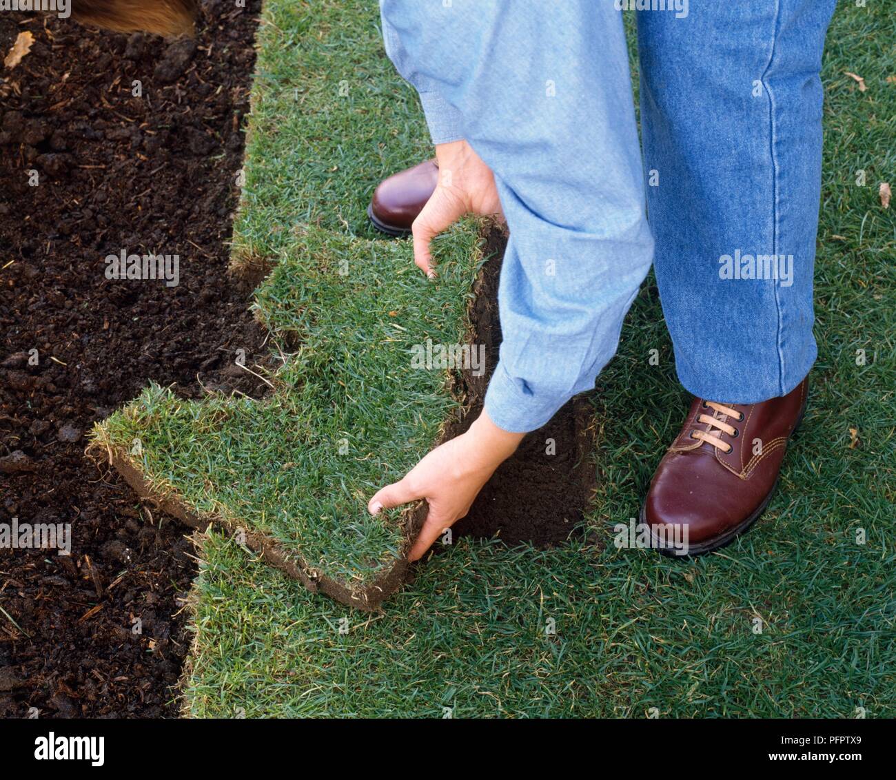 Person inserting piece of turf into hole in lawn Stock Photo
