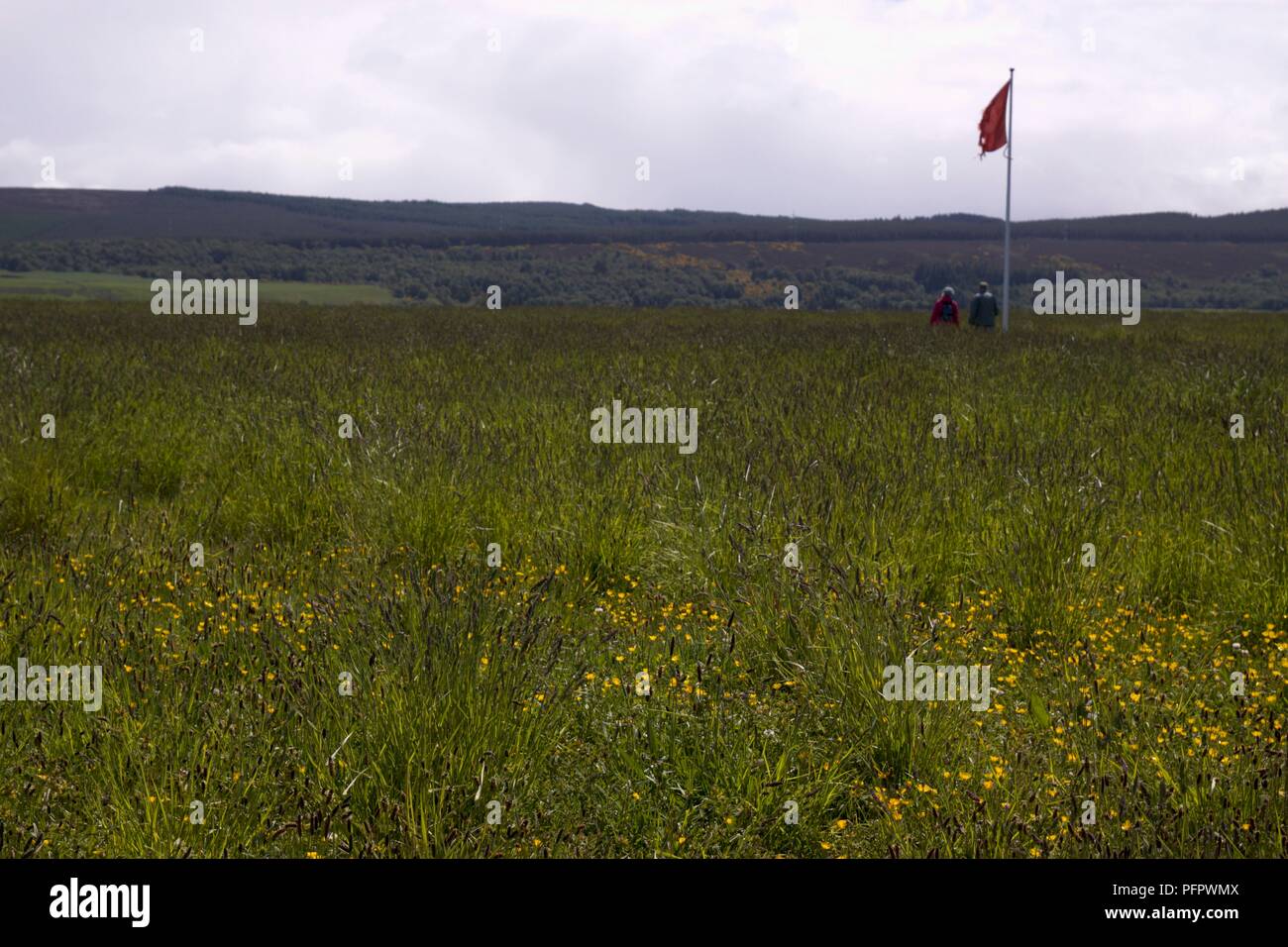 Scotland, two people standing near flag on Culloden battlefield Stock Photo