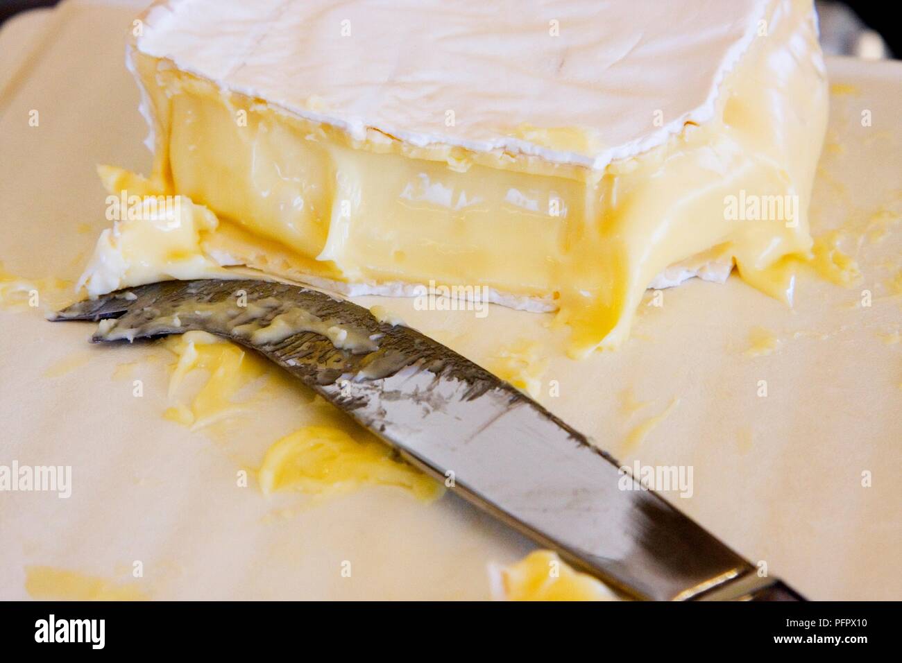 Australia, Tasmania, Burnie, Lactos cheese factory, camembert with