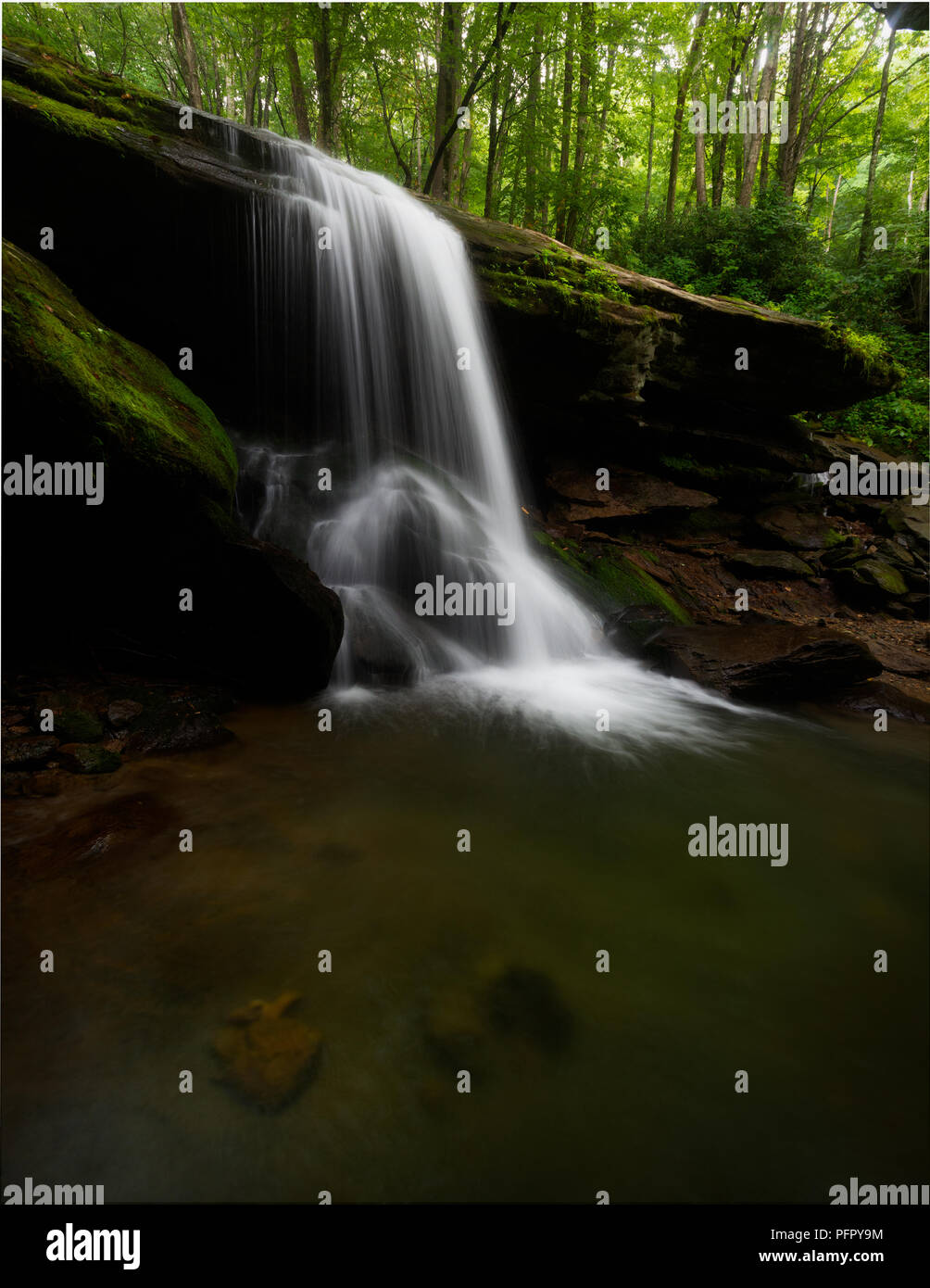 Otter Falls, Seven Devils, North Carolina A lush green mossy