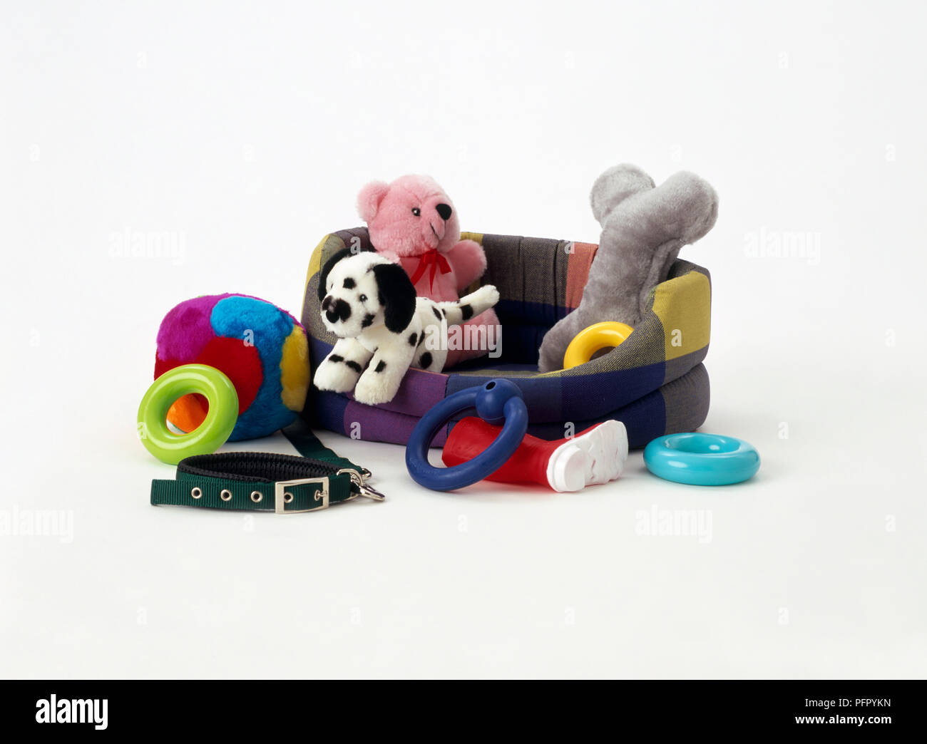 Bear with white collar hires stock photography and images Alamy