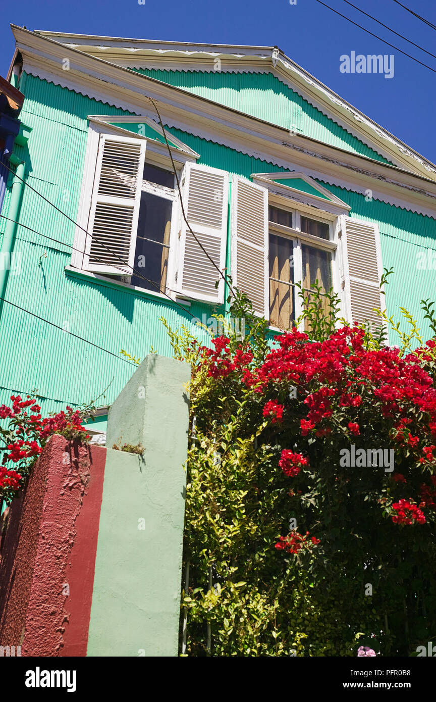 Chile, Valparaiso, traditional green house with red flowers at the front on Cerro Alegre street