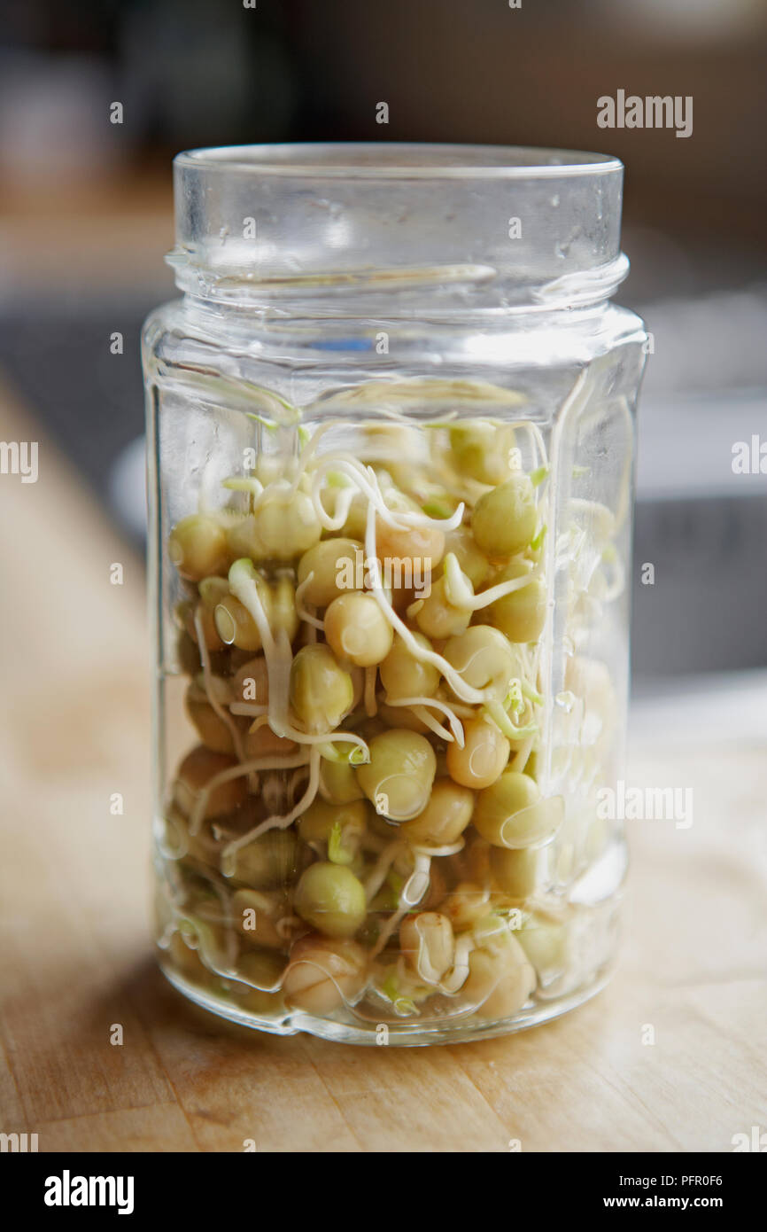 Pisum sativum var. saccharatum (Snow Pea) in glass jar on wooden kitchen worktop Stock Photo