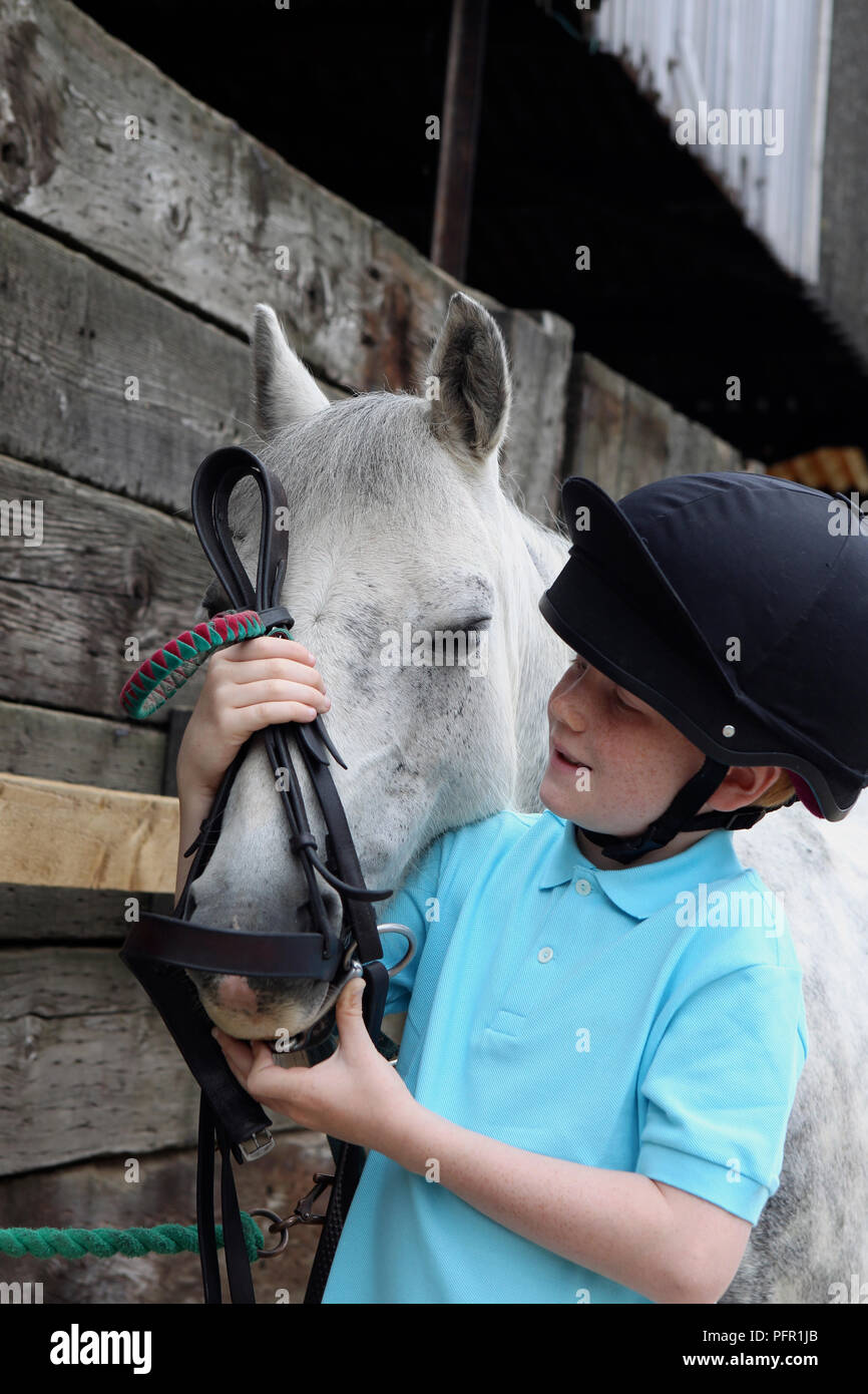 Boy putting bridle on horse, closeup Stock Photo Alamy