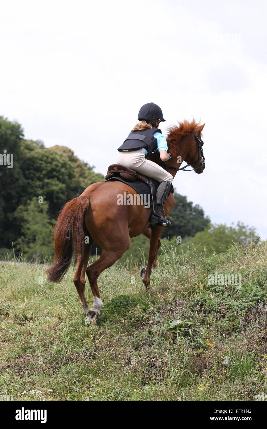 Girl on horse riding up a slope Stock Photo Alamy