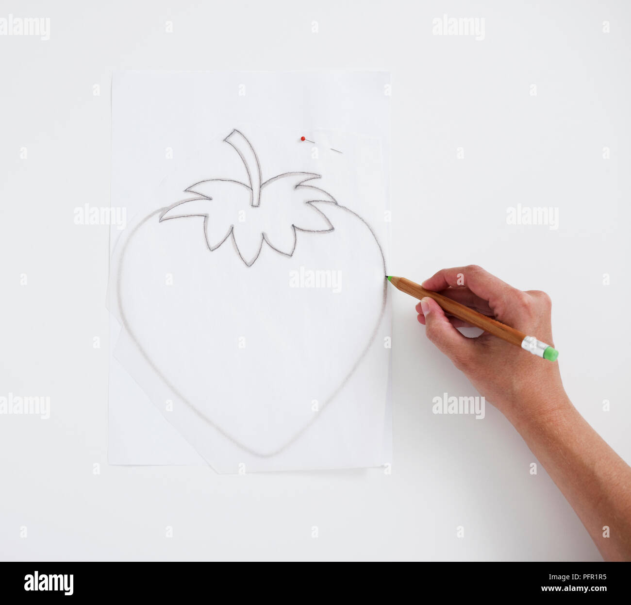 Man using pencil to draw strawberry on tracing paper, close-up Stock Photo  - Alamy