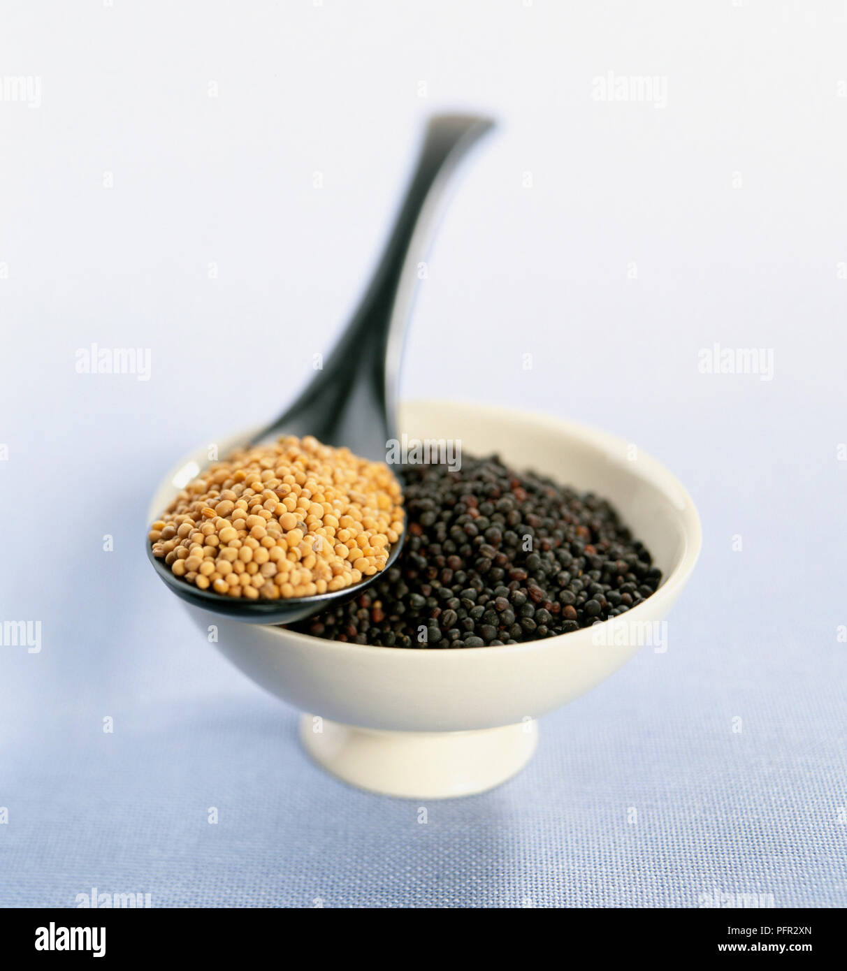 Yellow and black mustard seeds in bowl and in silver spoon Stock Photo