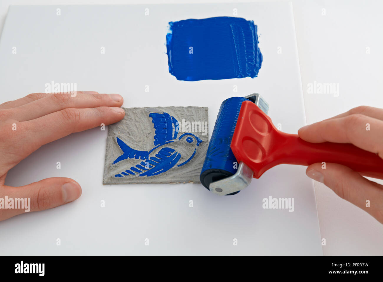 Applying blue paint on lino cut of a bird, using a lino roller (lino