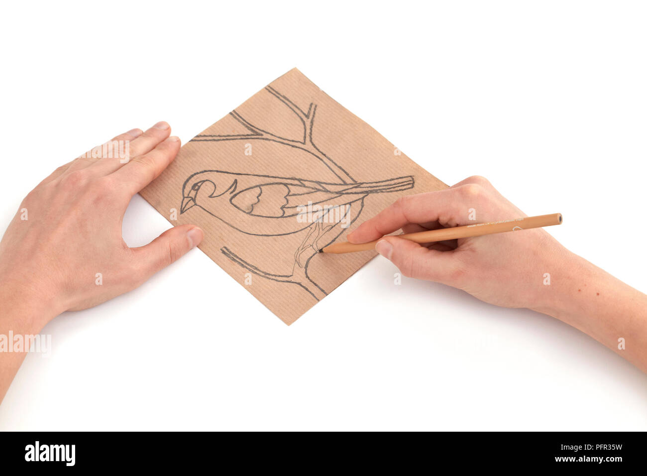 Drawing a design on a piece of brown paper, showing a bird on a tree (design for a mosaic) Stock Photo