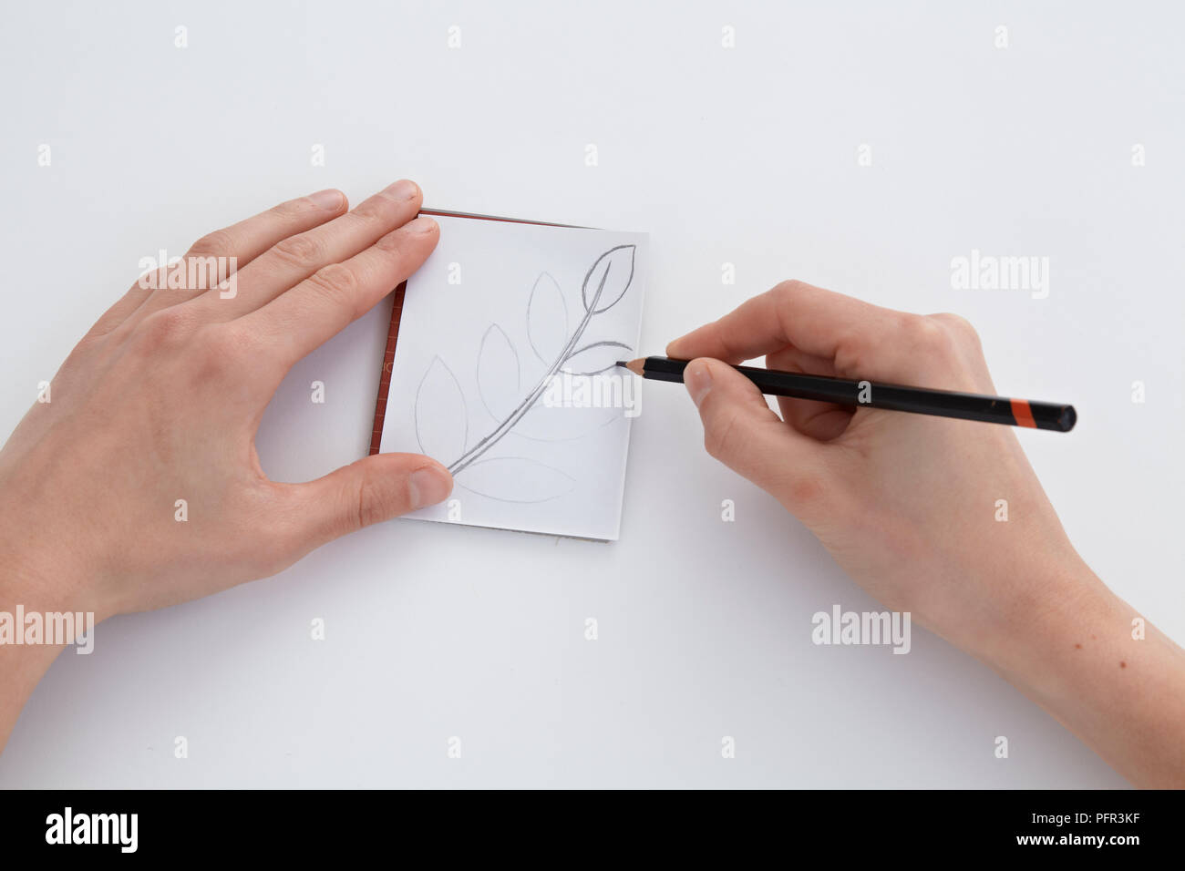 Tracing over drawing on carbon paper, face down on lino (lino cutting