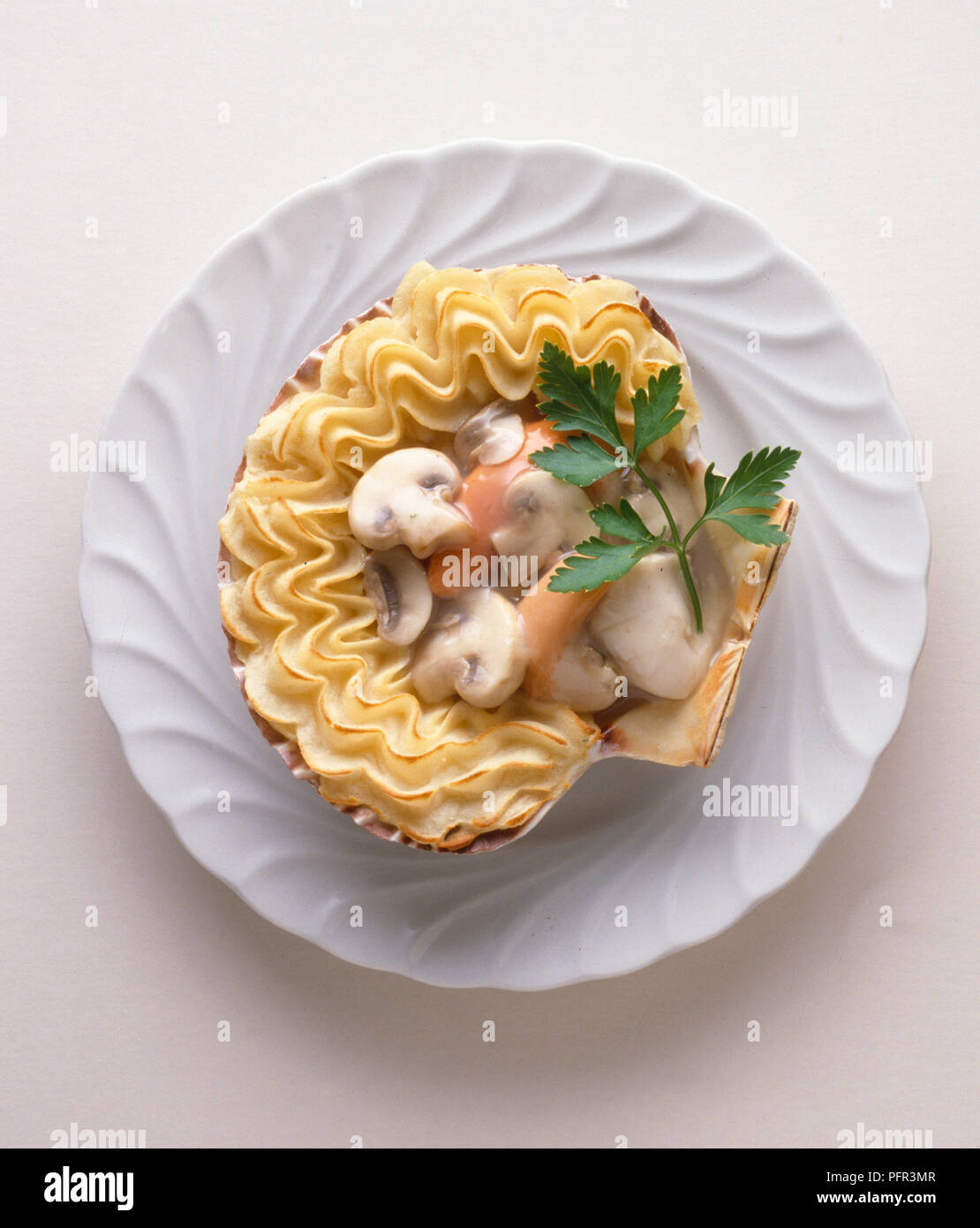Coquilles SaintJacques, scallops served in shell surrounded by piped