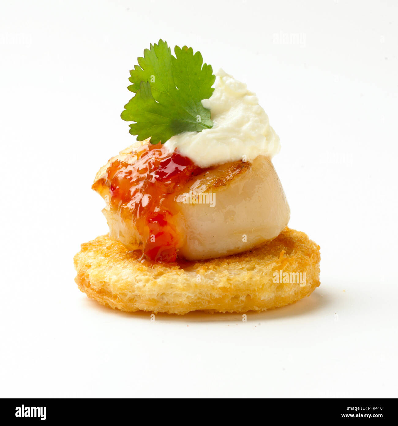 Griddled scallop with chilli sauce and creme fraiche, coriander leaf, croute Stock Photo