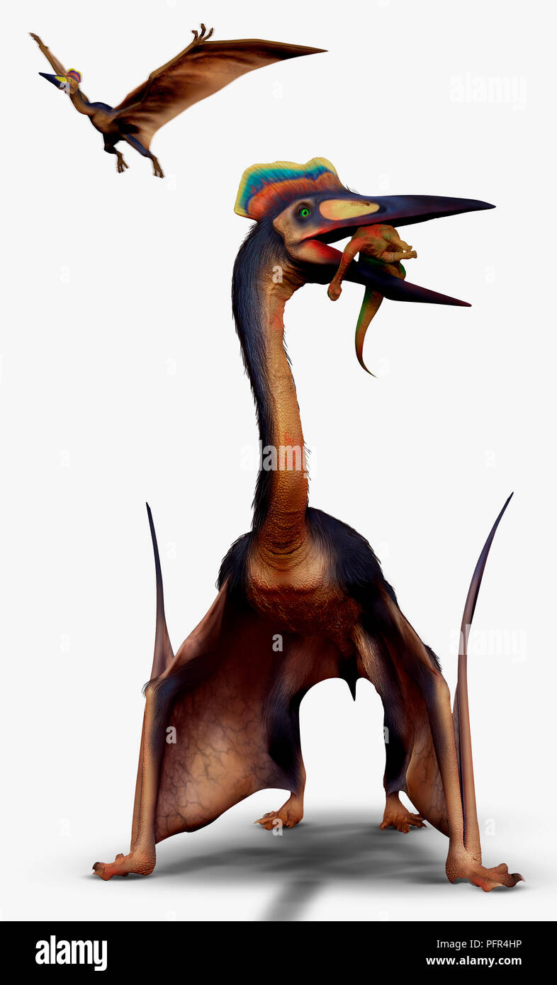 Digital illustration of Quetzalcoatlus, flying reptile, late Cretaceous era Stock Photo