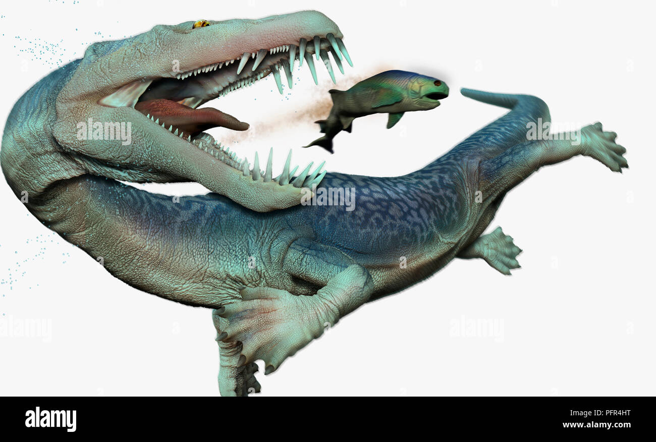 Digital illustration of Nothosaurus, aquatic reptile, Triassic era Stock Photo