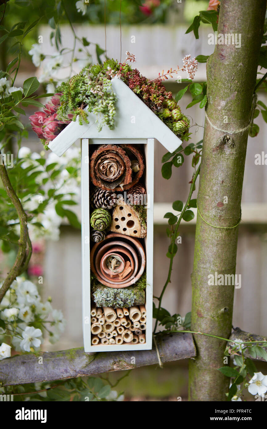 Insect hotel with planted roof Stock Photo