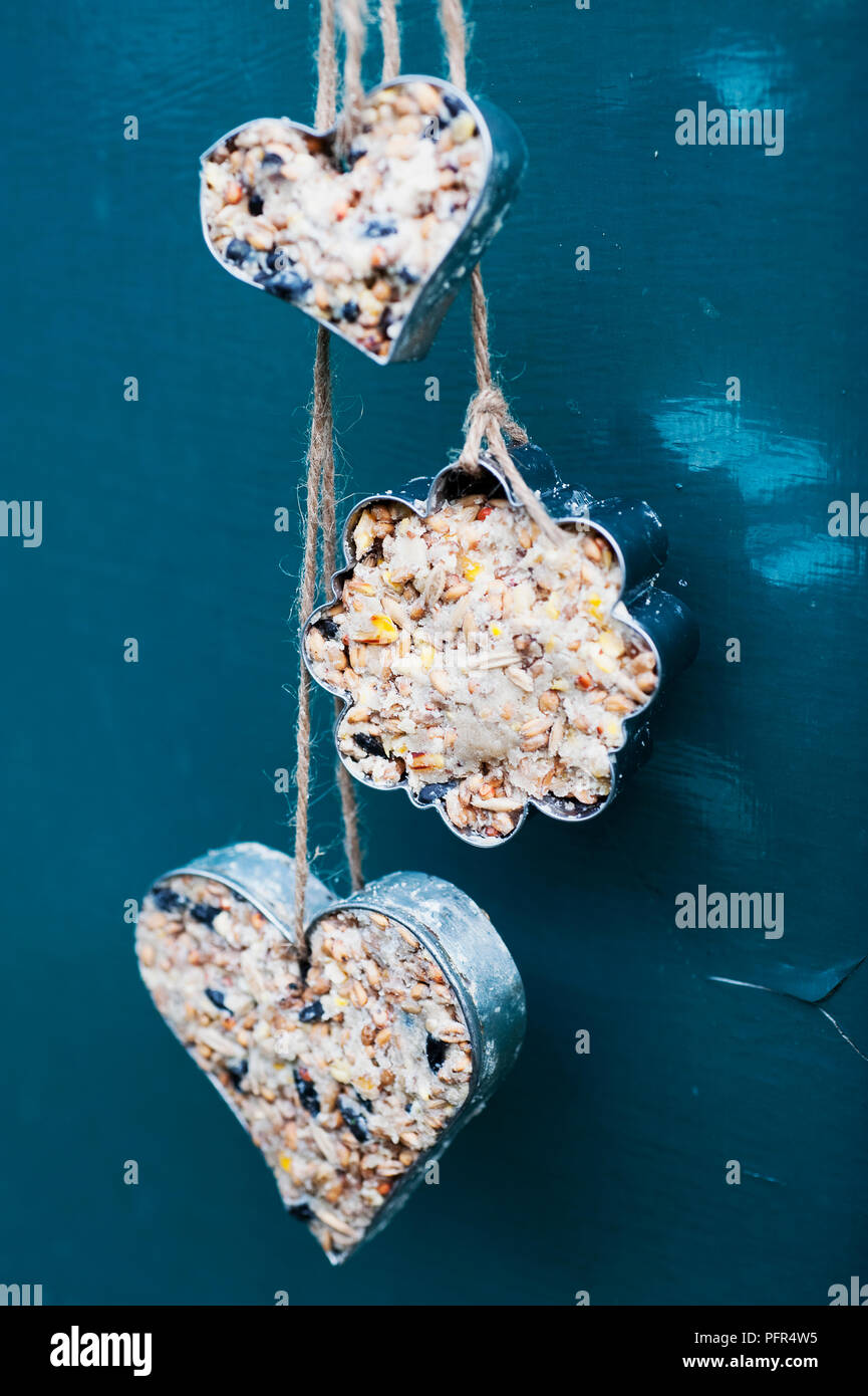 No Melt Suet Cakes For Birds - House of Hawthornes, image size:865x1390