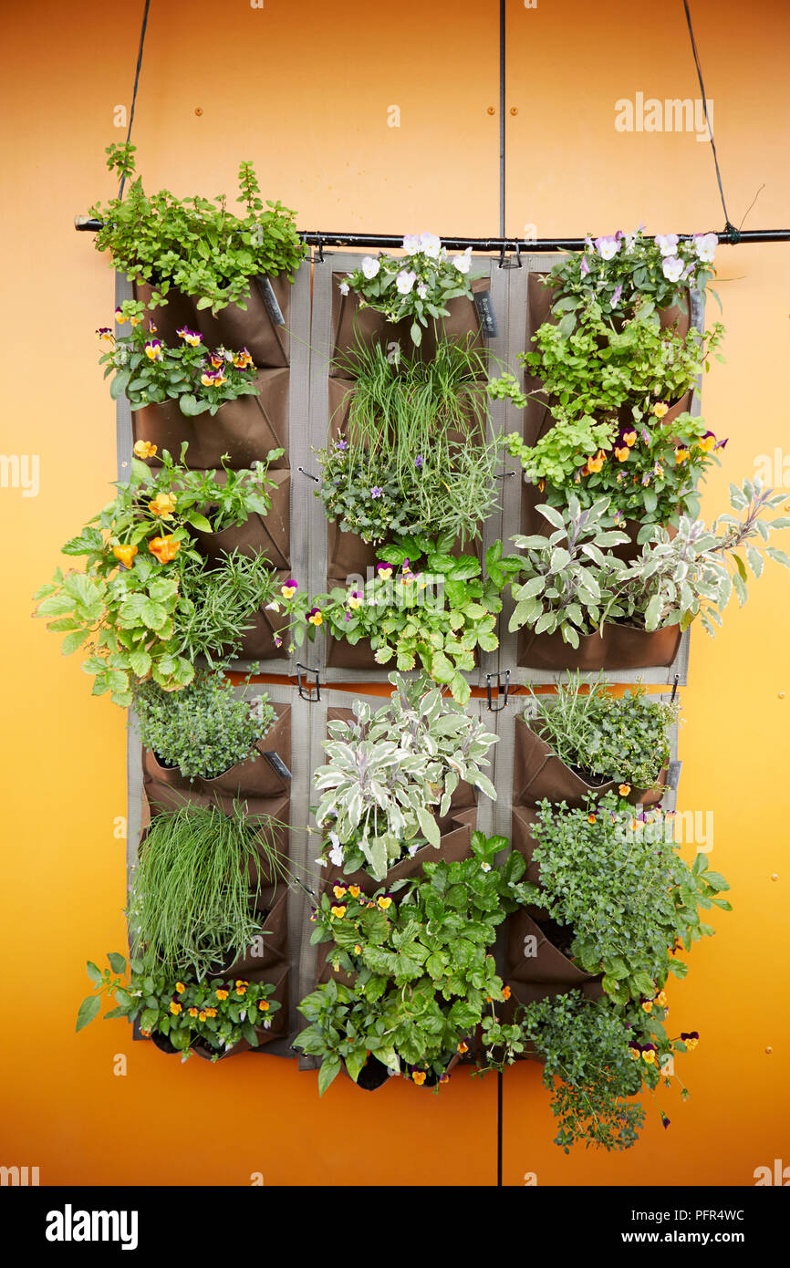 Vertical Garden Balcony High Resolution Stock Photography and Images - Alamy