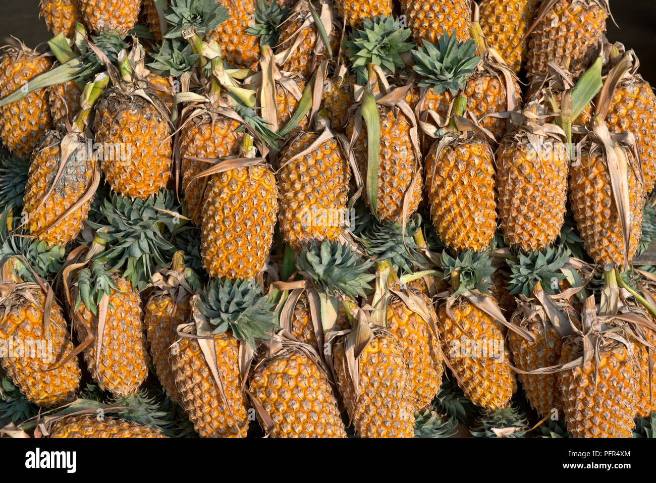 Sri Lanka, pineapples for sale in market, close-up Stock Photo