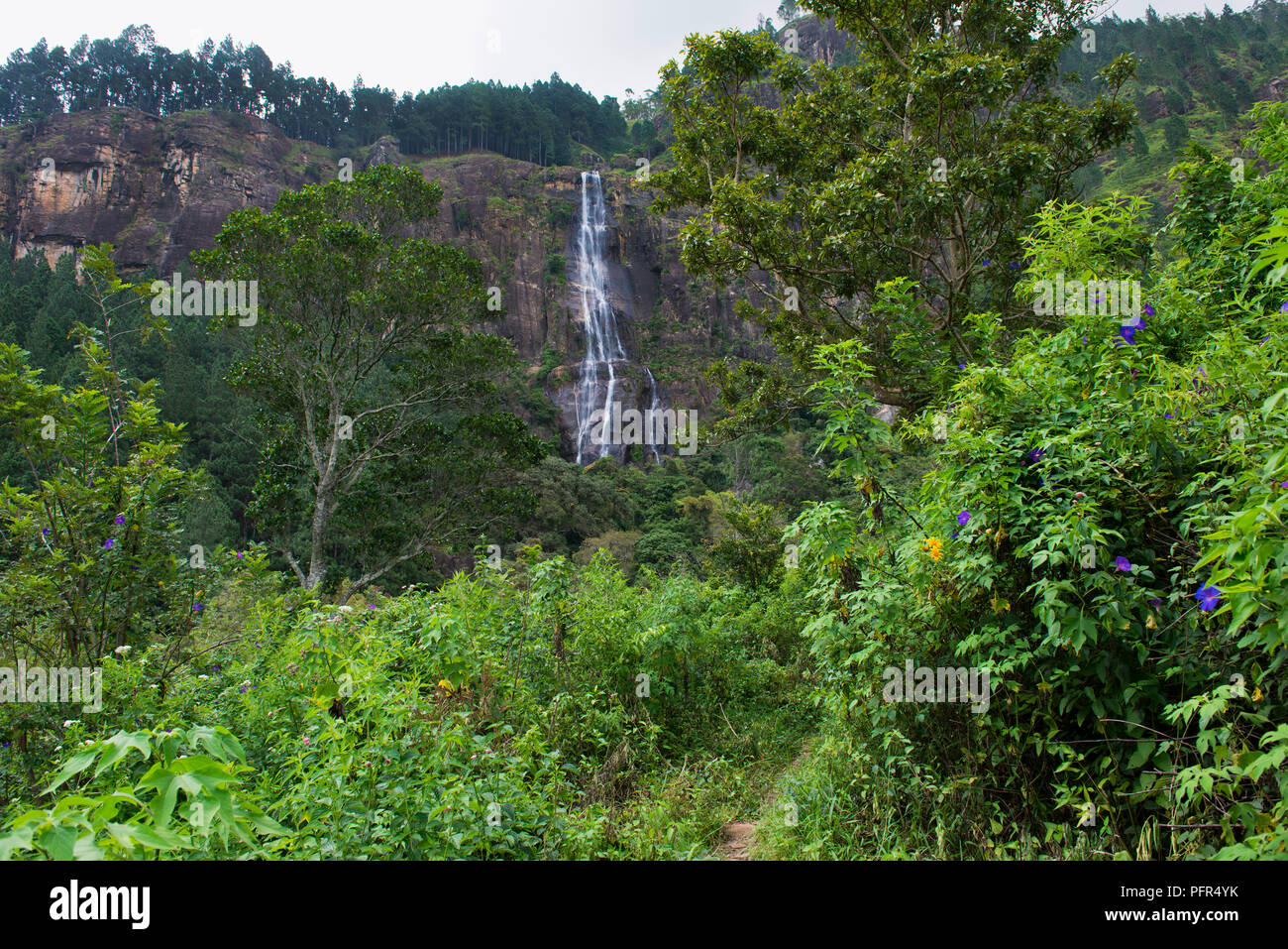 Sri Lanka, Sabaragamuwa Province, Belihul Oya, Bambarakanda Falls Stock Photo