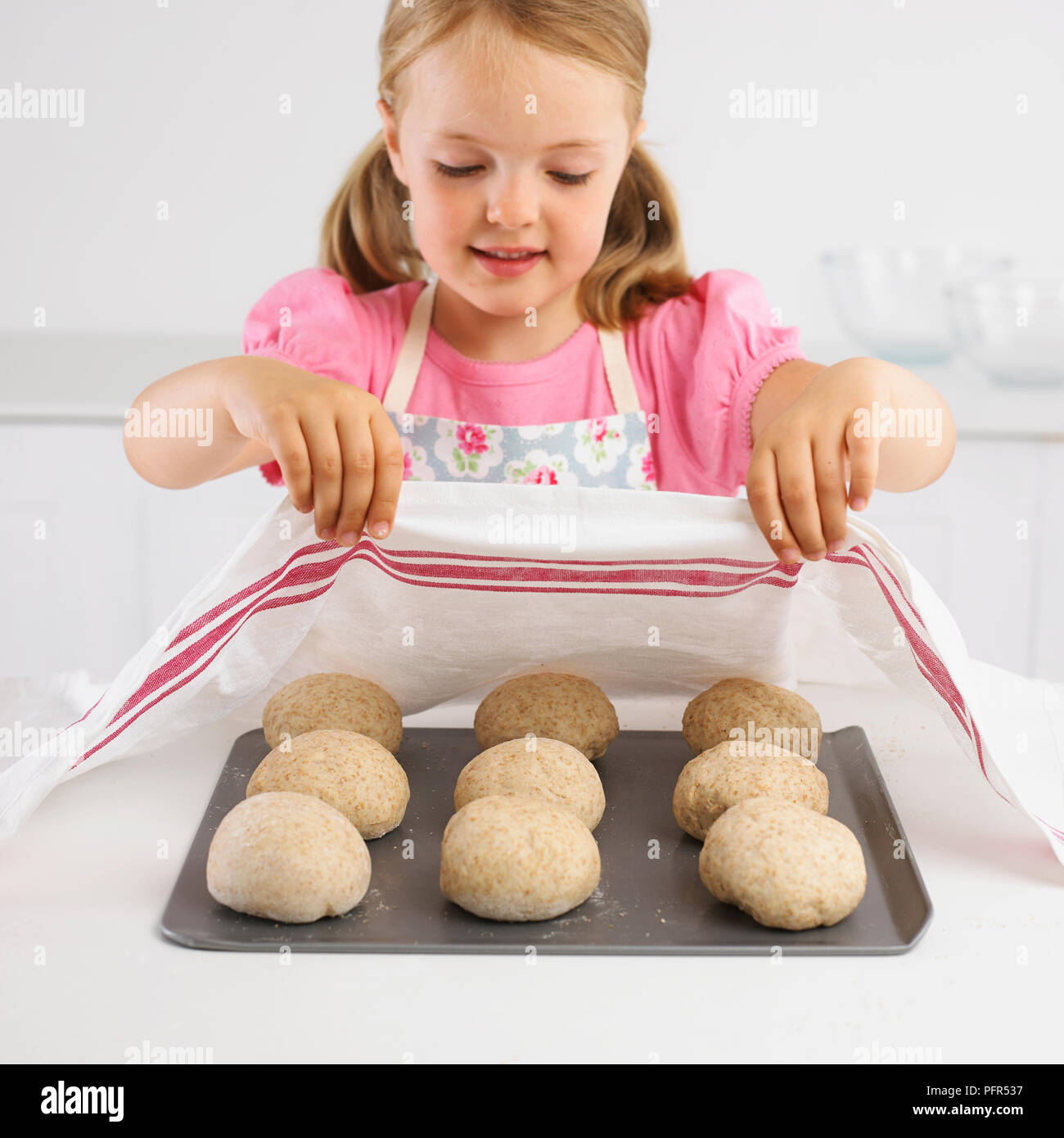 Girl covering tray of uncooked bread rolls with a tea towel, 5 years Stock Photo