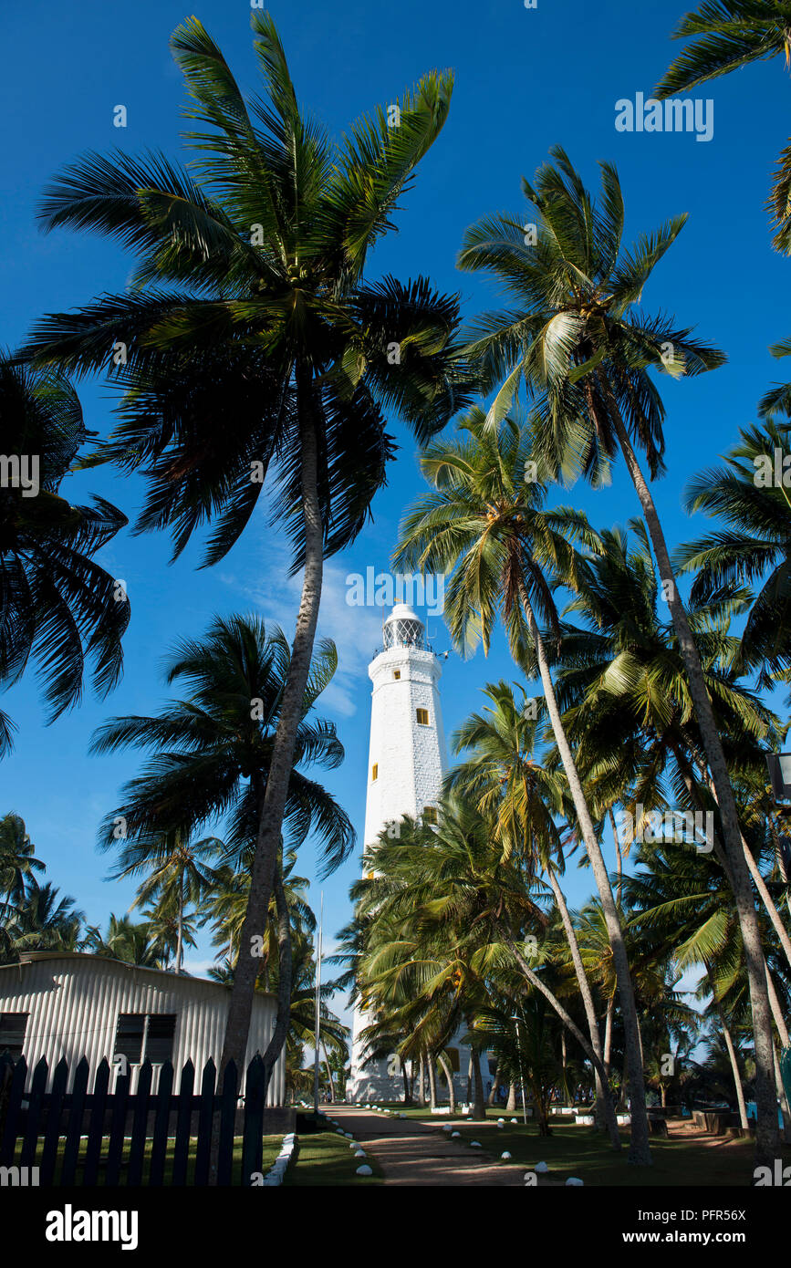 Sri Lanka, Southern Province, Dondra, Dondra Head lighthouse and palm tree Stock Photo