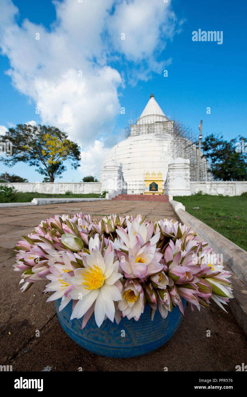 Sri Lanka, Southern Province, Tissamaharama, Dagoba, flower pot in front of Tissamaharama Dagoba Stock Photo