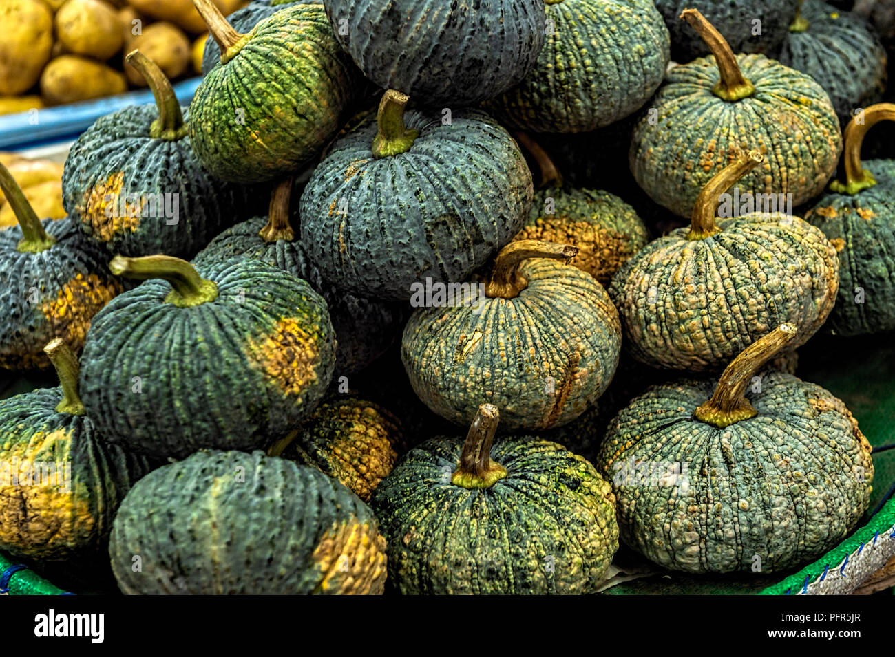 Gourds for sale at a market in Bangkok Thailand Stock Photo