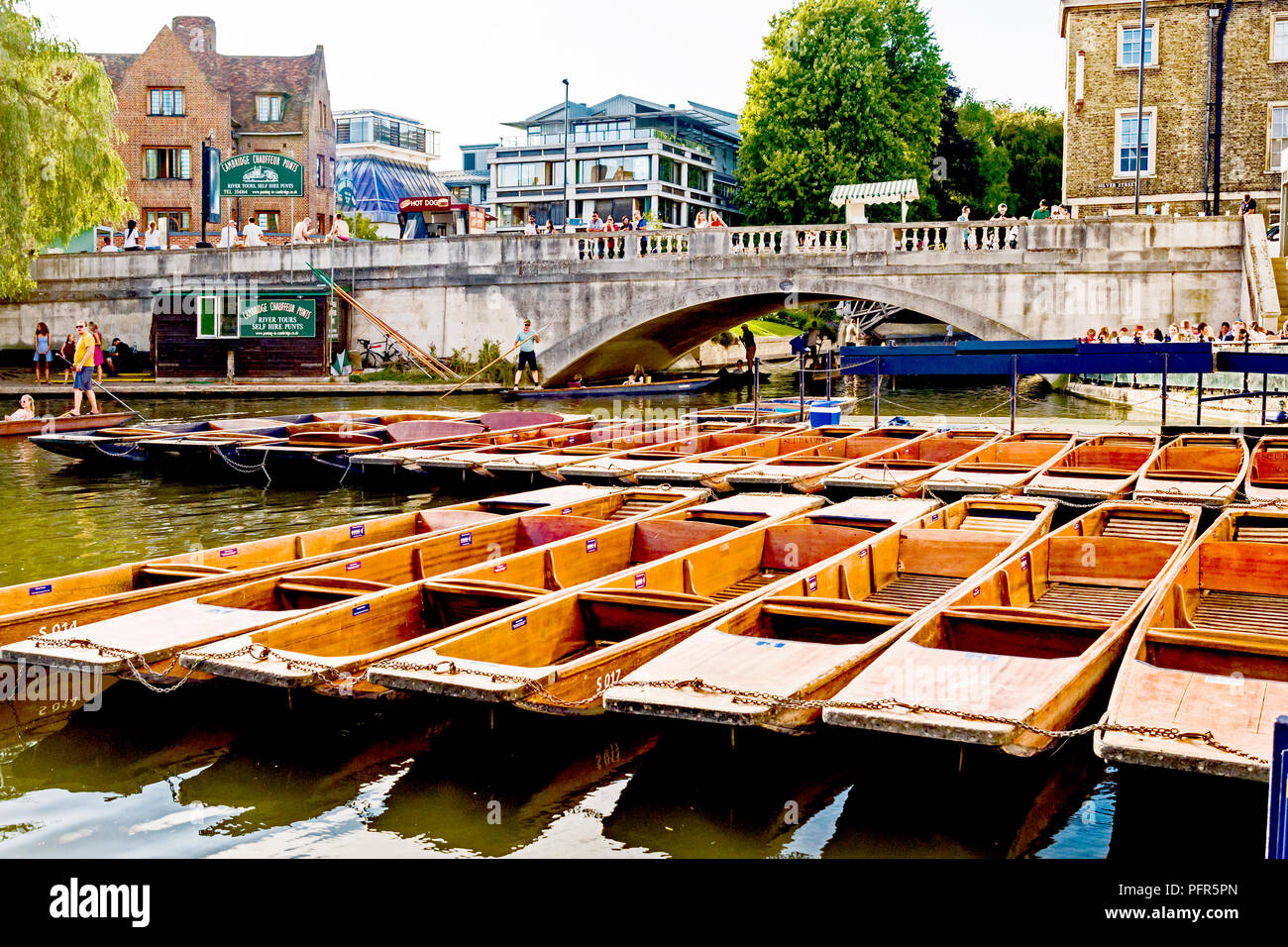 Cambridge (England, Great Britain): Punts on the river Cam Stock Photo