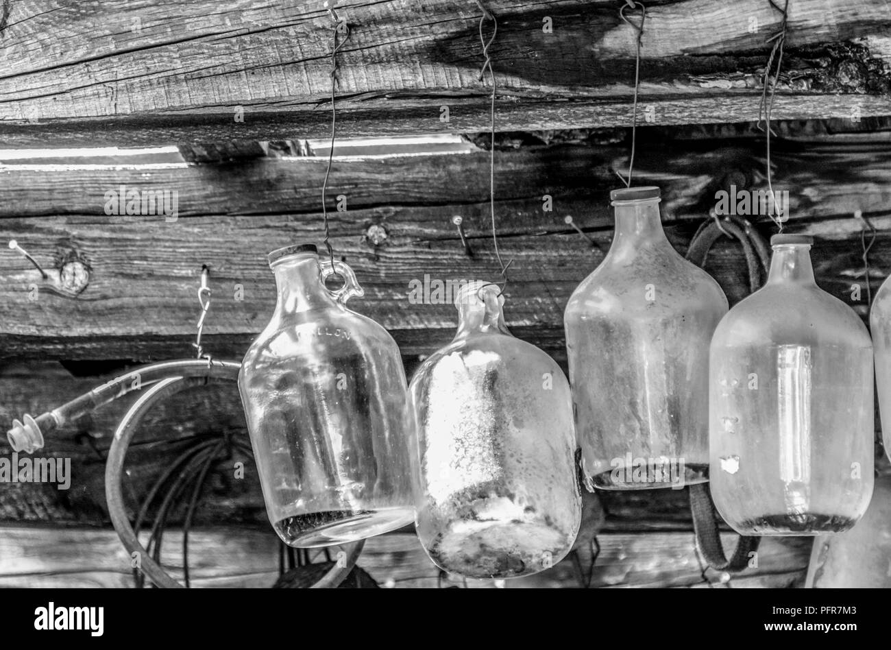 Black & white of glass jugs hanging from ceiling on wire Stock Photo
