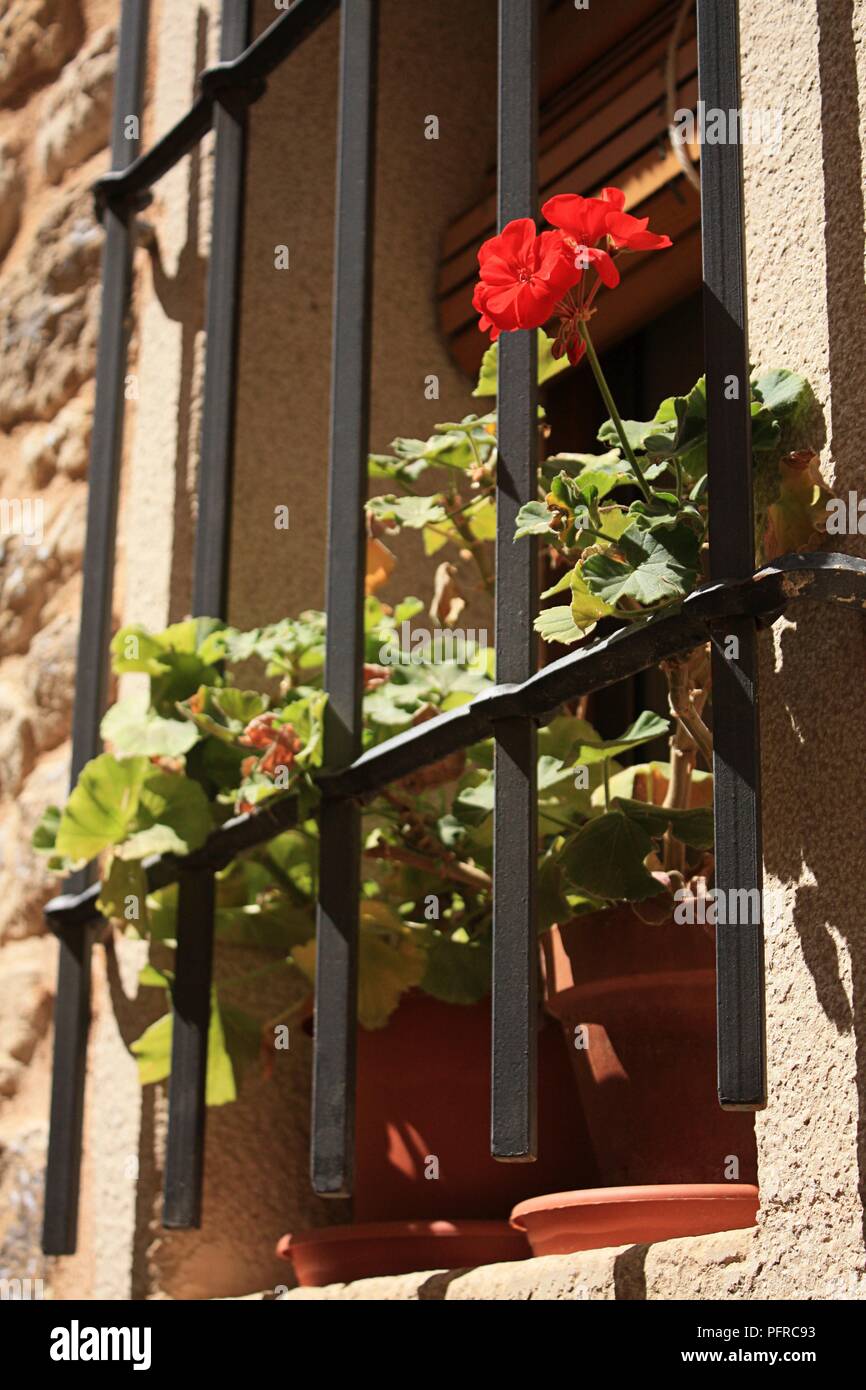 Spain, potted geraniums behind iron railings protecting window of house in Spanish village Stock Photo