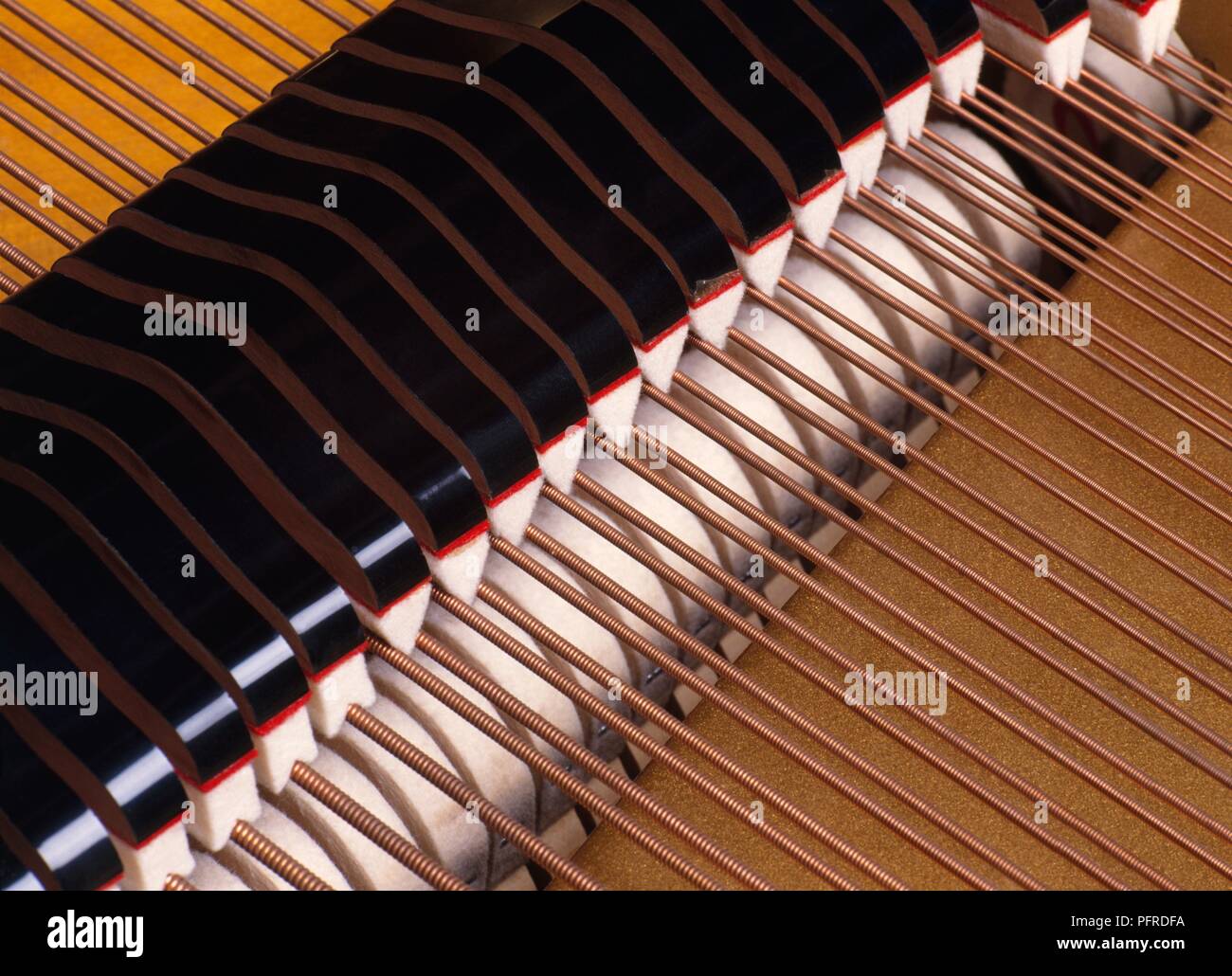 Piano dampers on strings Stock Photo - Alamy