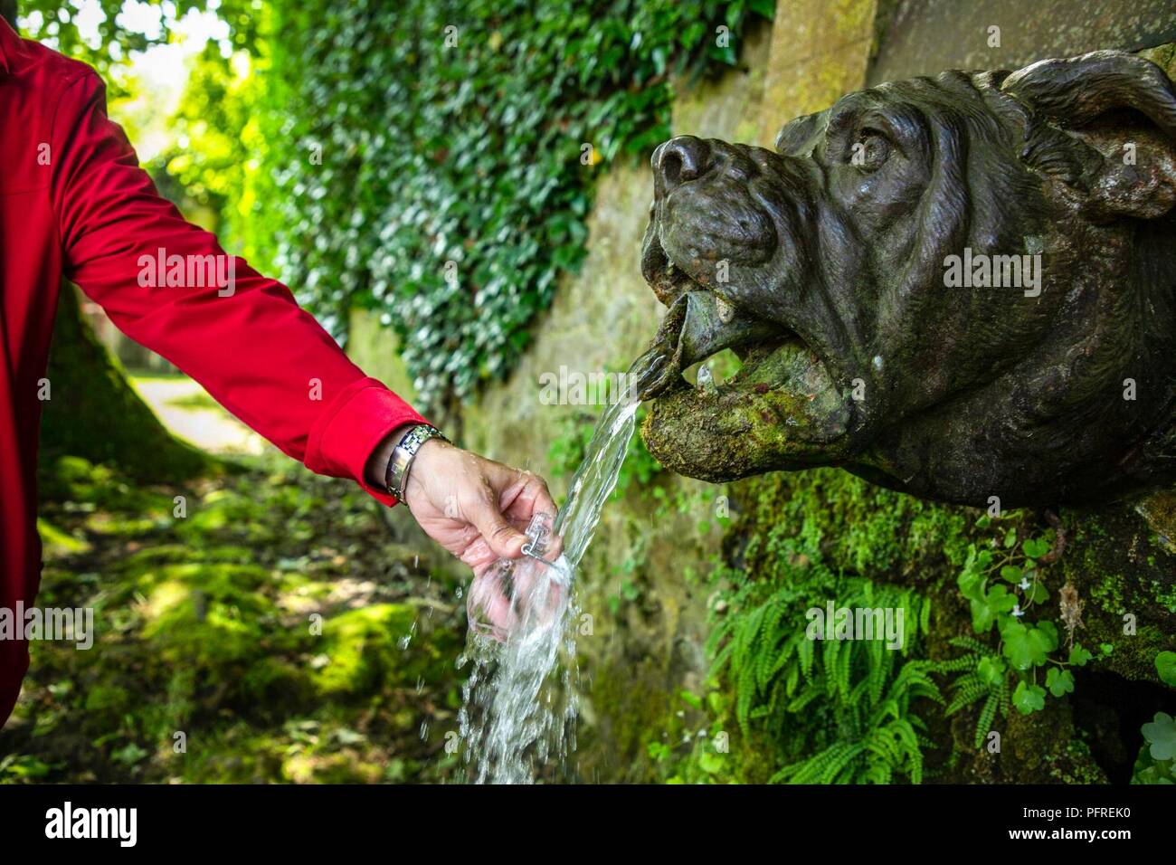 Bulldog water fountain online