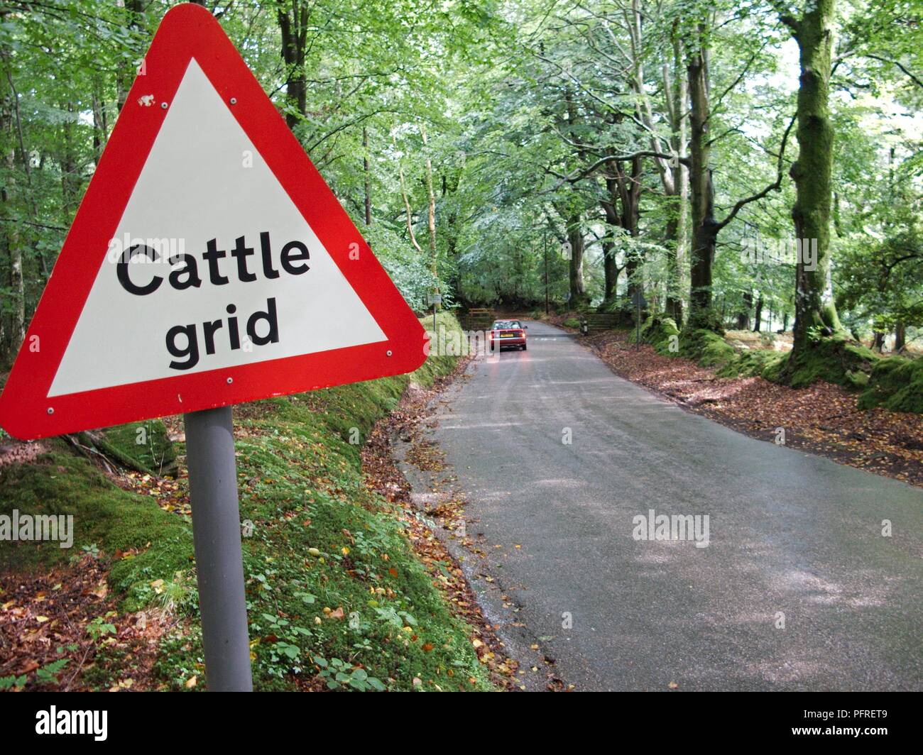 England, Devon, cattle grid sign on road near Exmoor, with car in distance Stock Photo