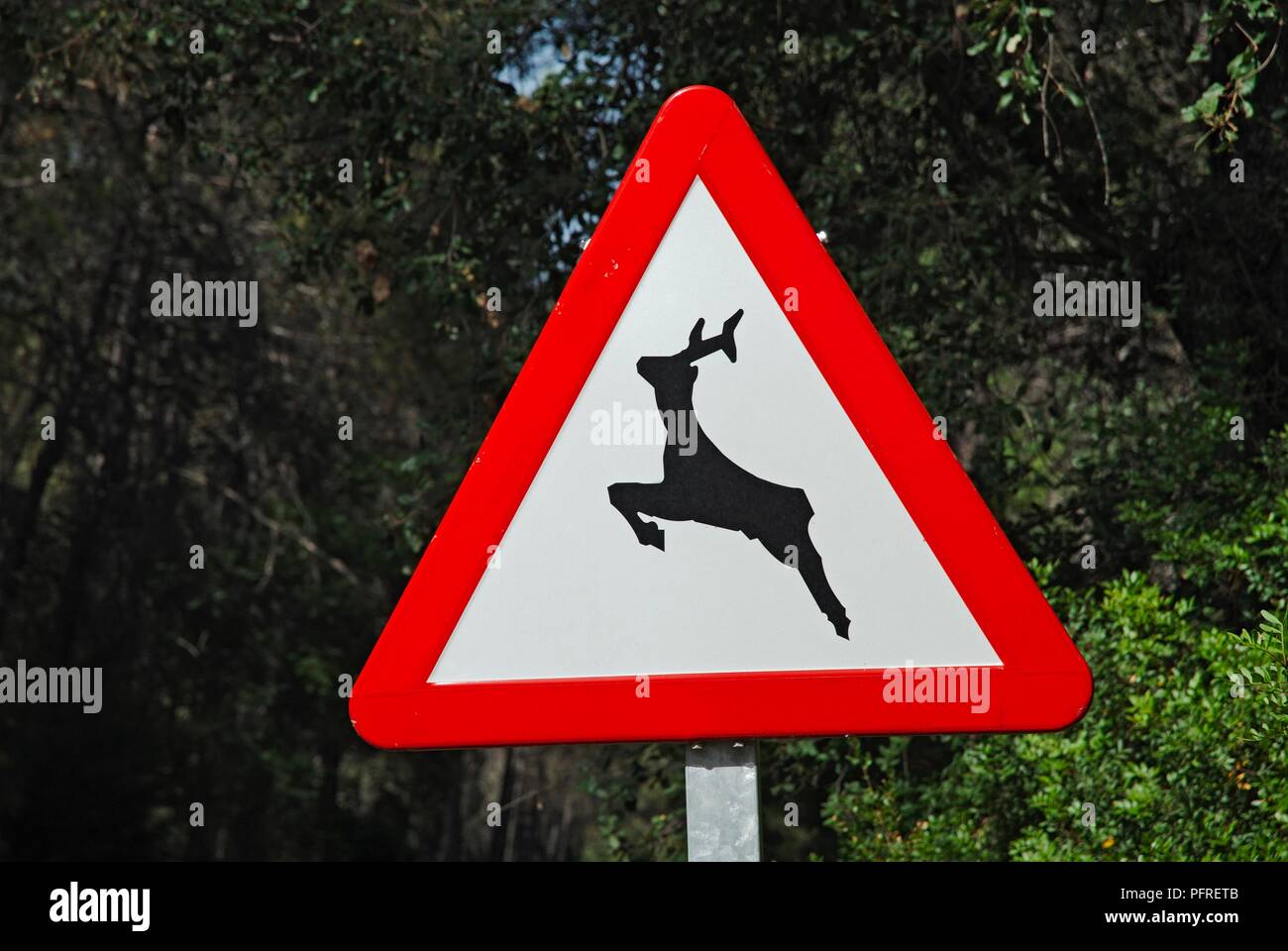 Spain, Andalusia, Cazorla, deer warning sign in countryside Stock Photo