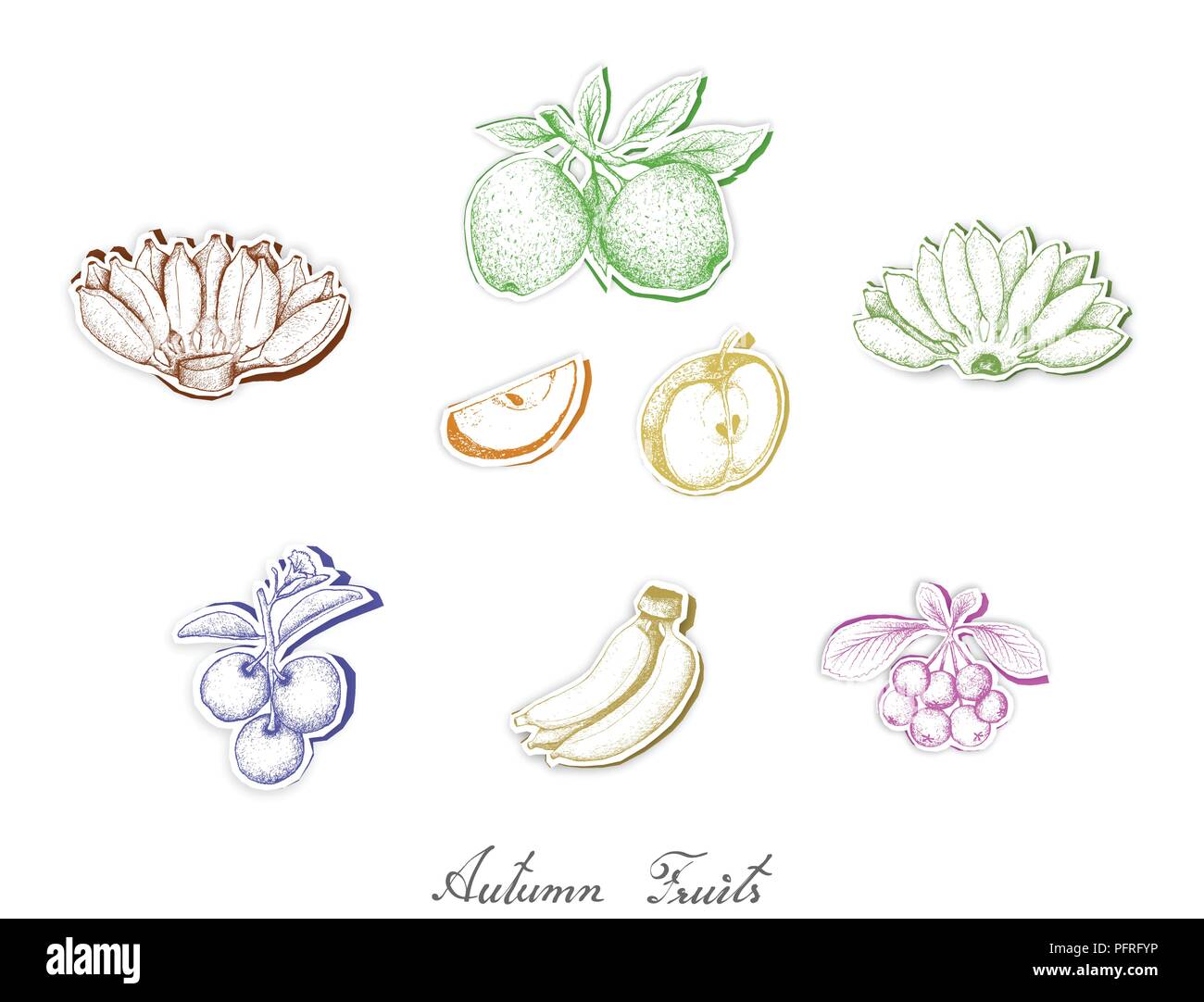 Autumn Fruits, Set of Hand Drawn Sketch of Assorted Fruits are Harvested in Autumn. Trendy Origami Deep Paper Art Carving Style. Stock Vector