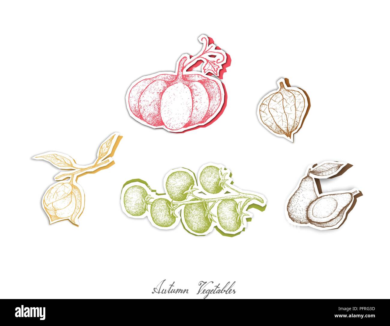 Autumn Vegetables, Set of Hand Drawn Sketch of Assorted Vegetables are Harvested in Autumn. Trendy Origami Deep Paper Art Carving Style. Stock Vector