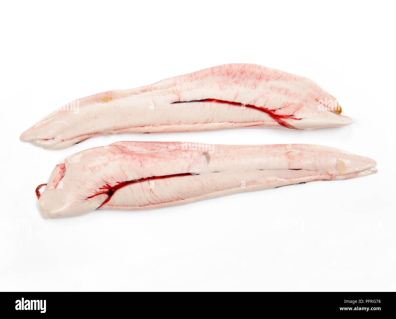 Raw soft herring roe with blood on side Stock Photo Alamy