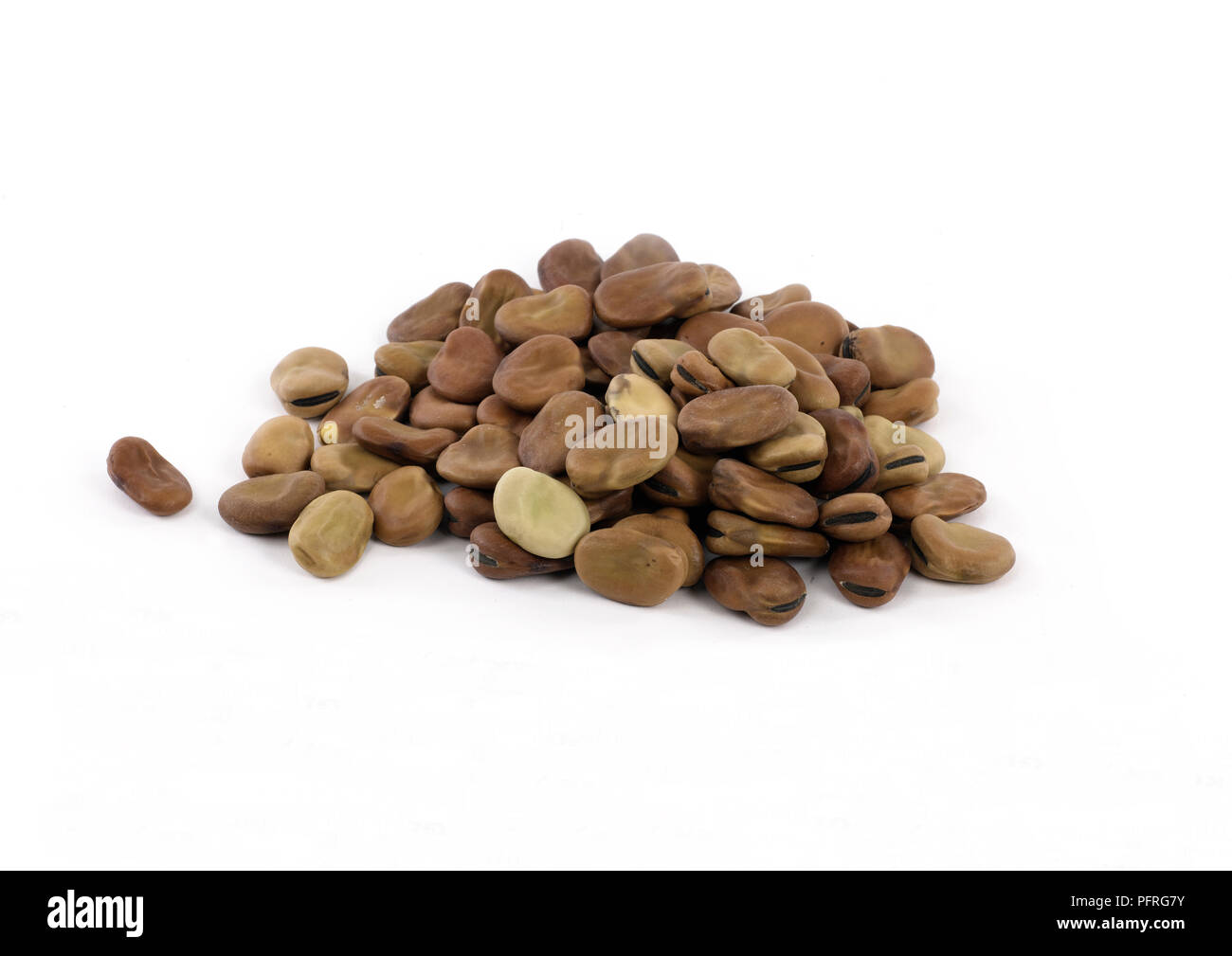 Dried broad beans Stock Photo Alamy