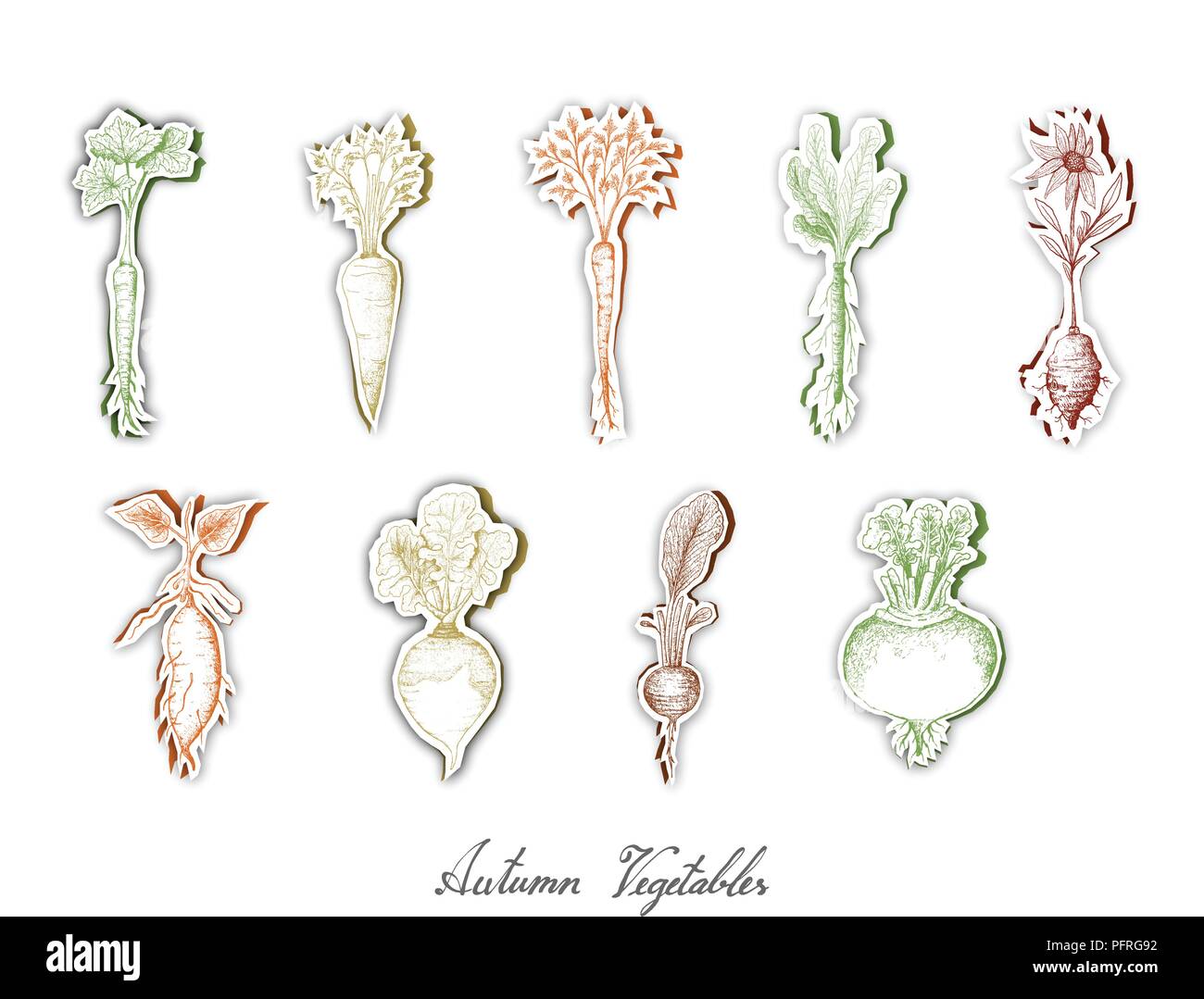 Autumn Vegetables, Set of Hand Drawn Sketch of Assorted Root Vegetables are Harvested in Autumn. Trendy Origami Deep Paper Art Carving Style. Stock Vector