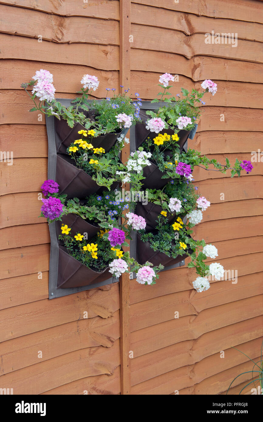 Wall Planters Filled With Flowers Mounted On Larch Lap Fence Stock Photo Alamy