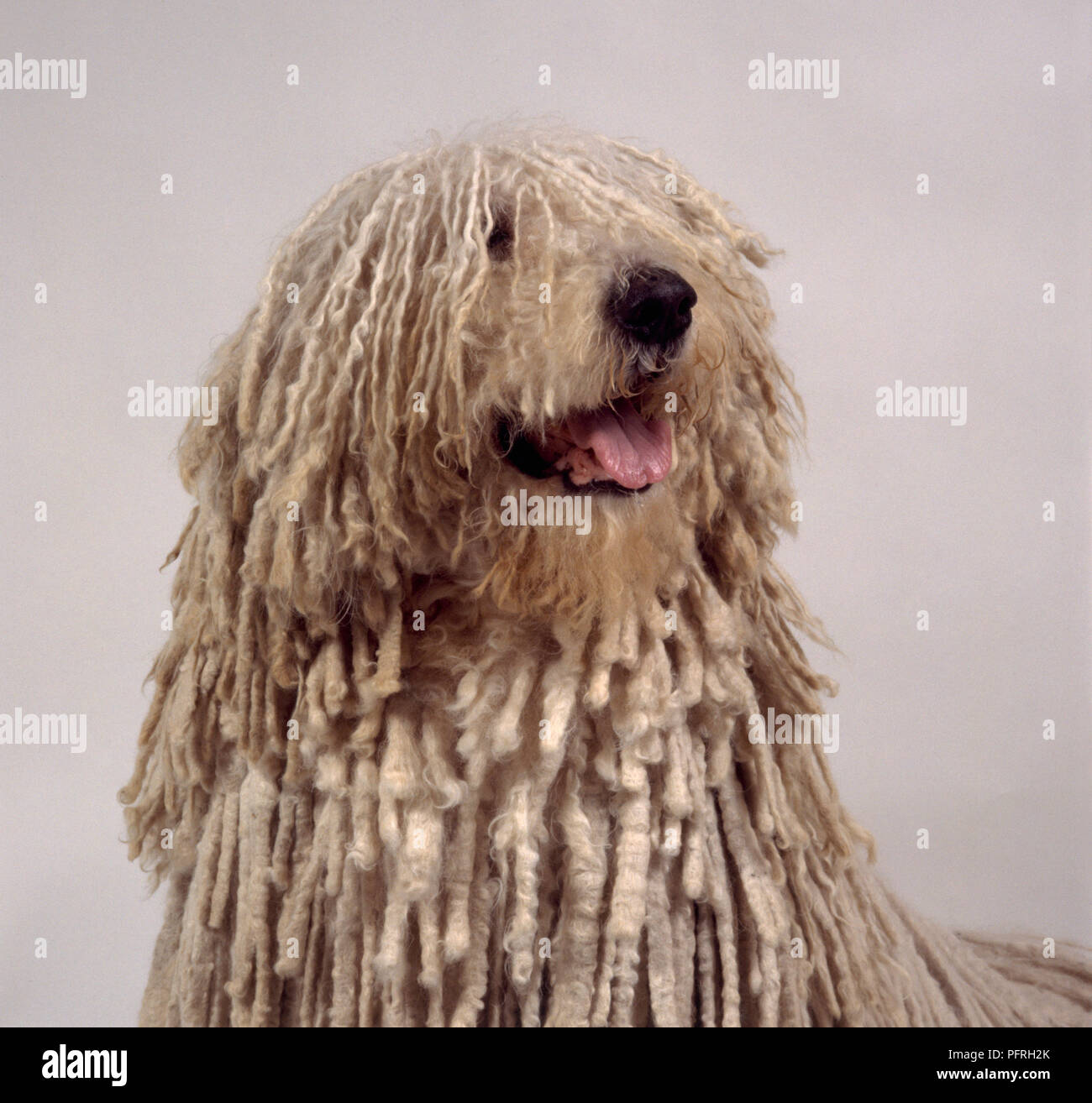 Corded coat Clearance