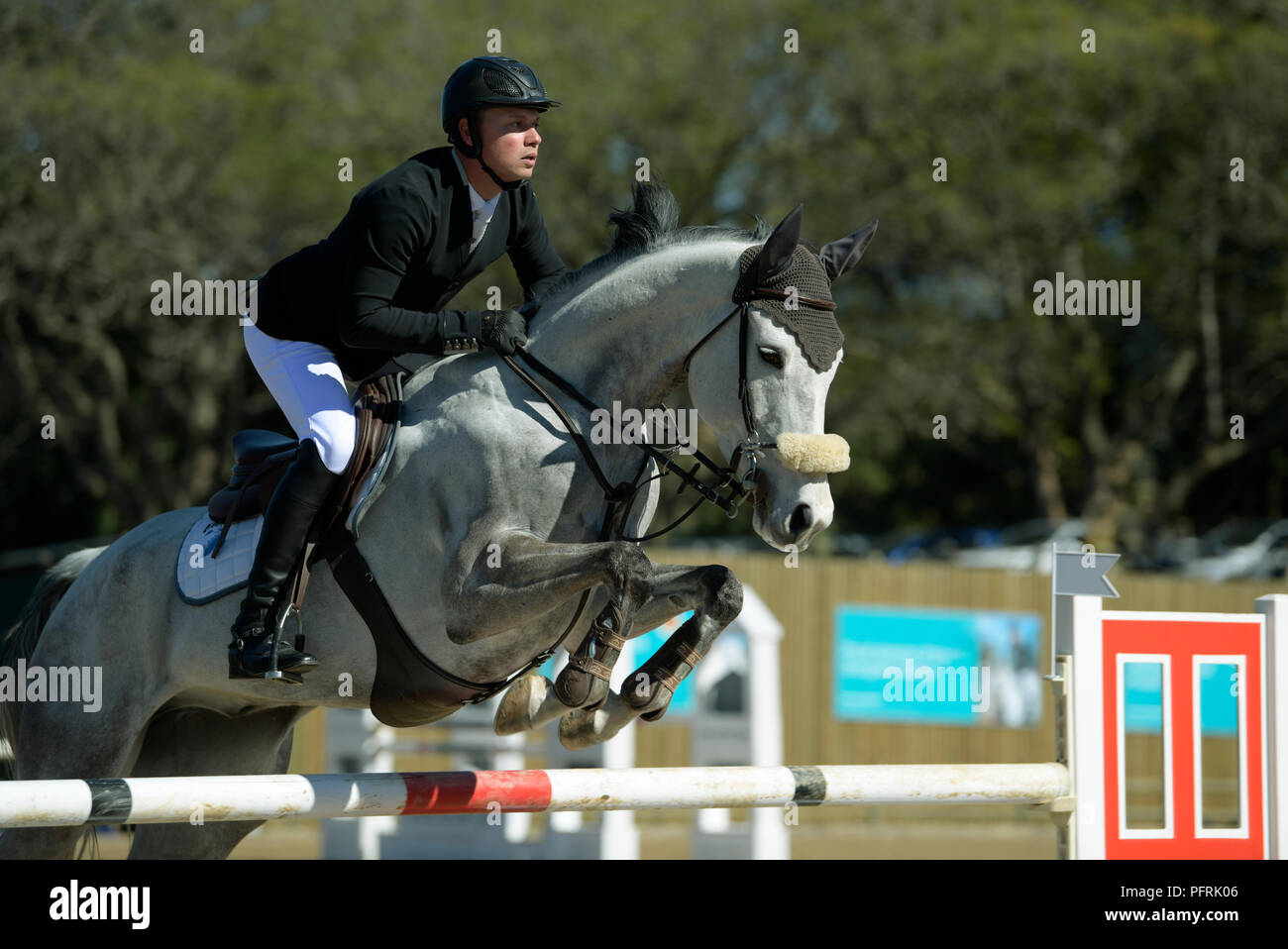 show jumping jacket