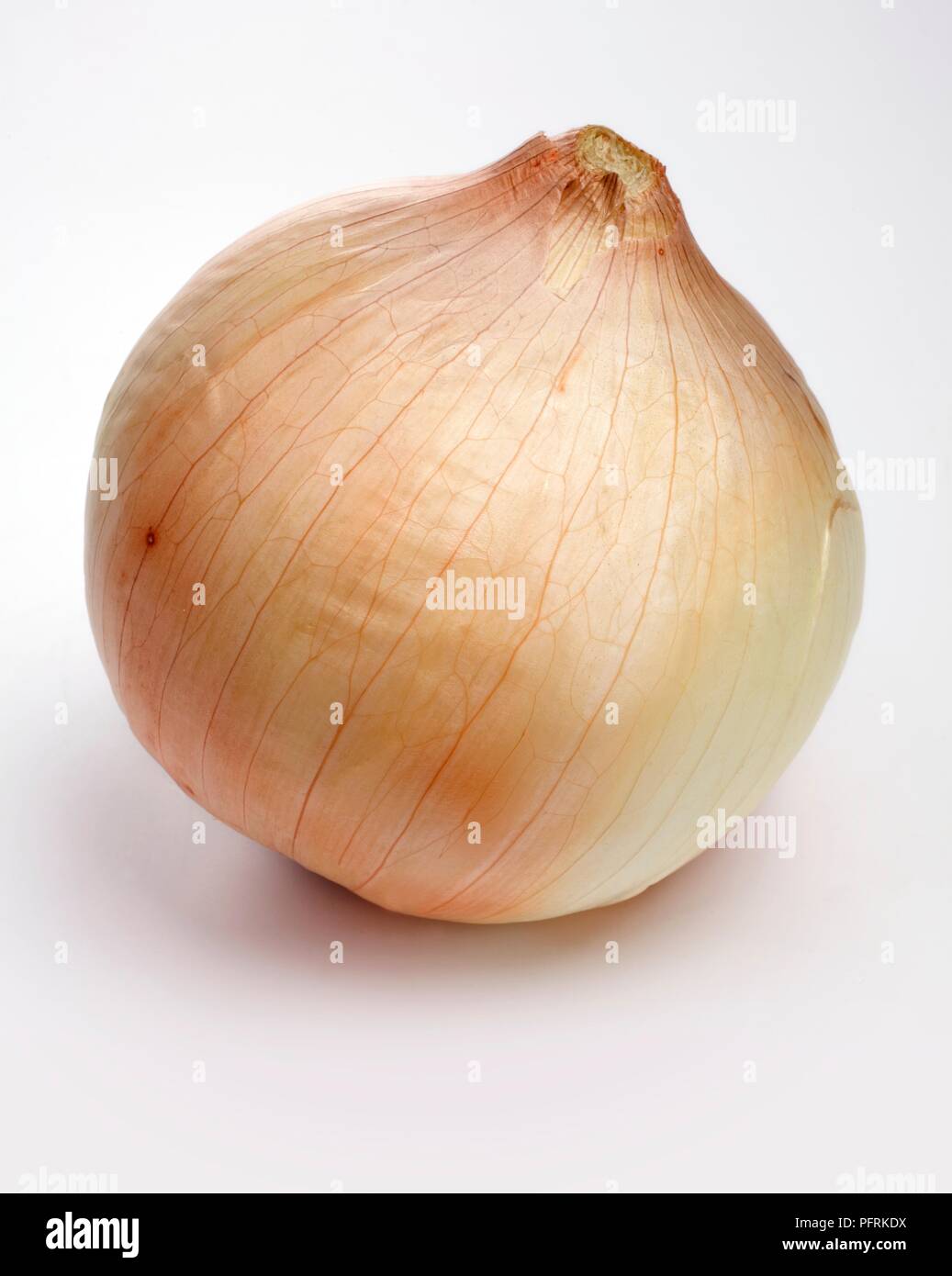 Large American Danvers onion Stock Photo
