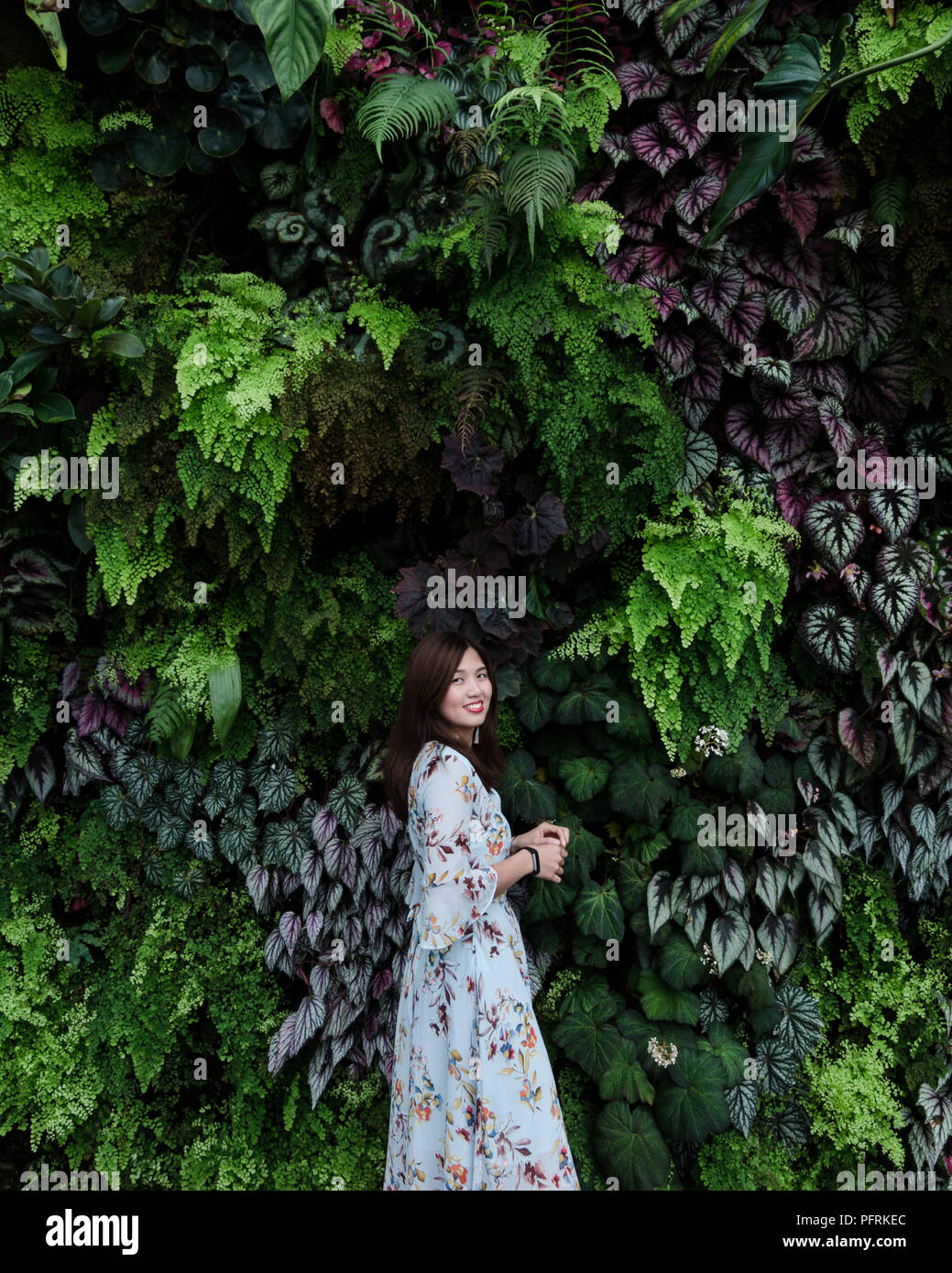 Portrait of beautiful Asian girl in floral dress posing in front of living plant wall at Cloud Forrest of Garden By The Bay Singapore. Stock Photo