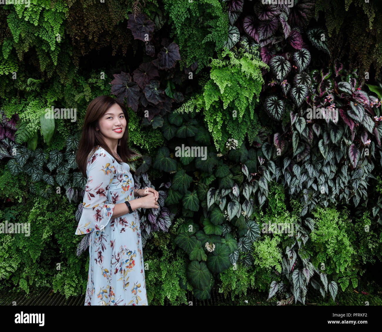 Portrait of beautiful Asian girl in floral dress posing in front of living plant wall at Cloud Forrest of Garden By The Bay Singapore. Stock Photo