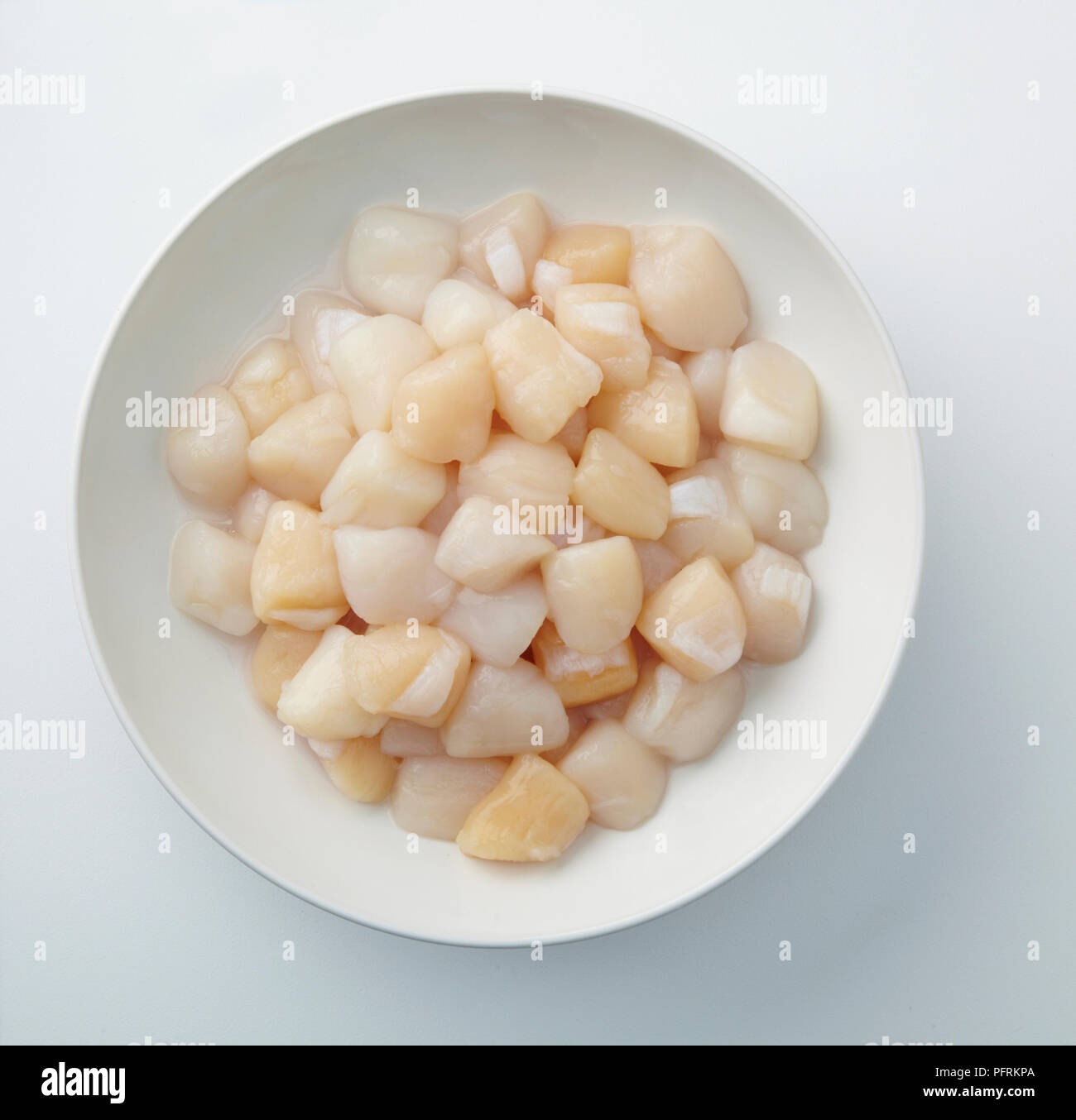 Raw bay scallops in white bowl Stock Photo Alamy