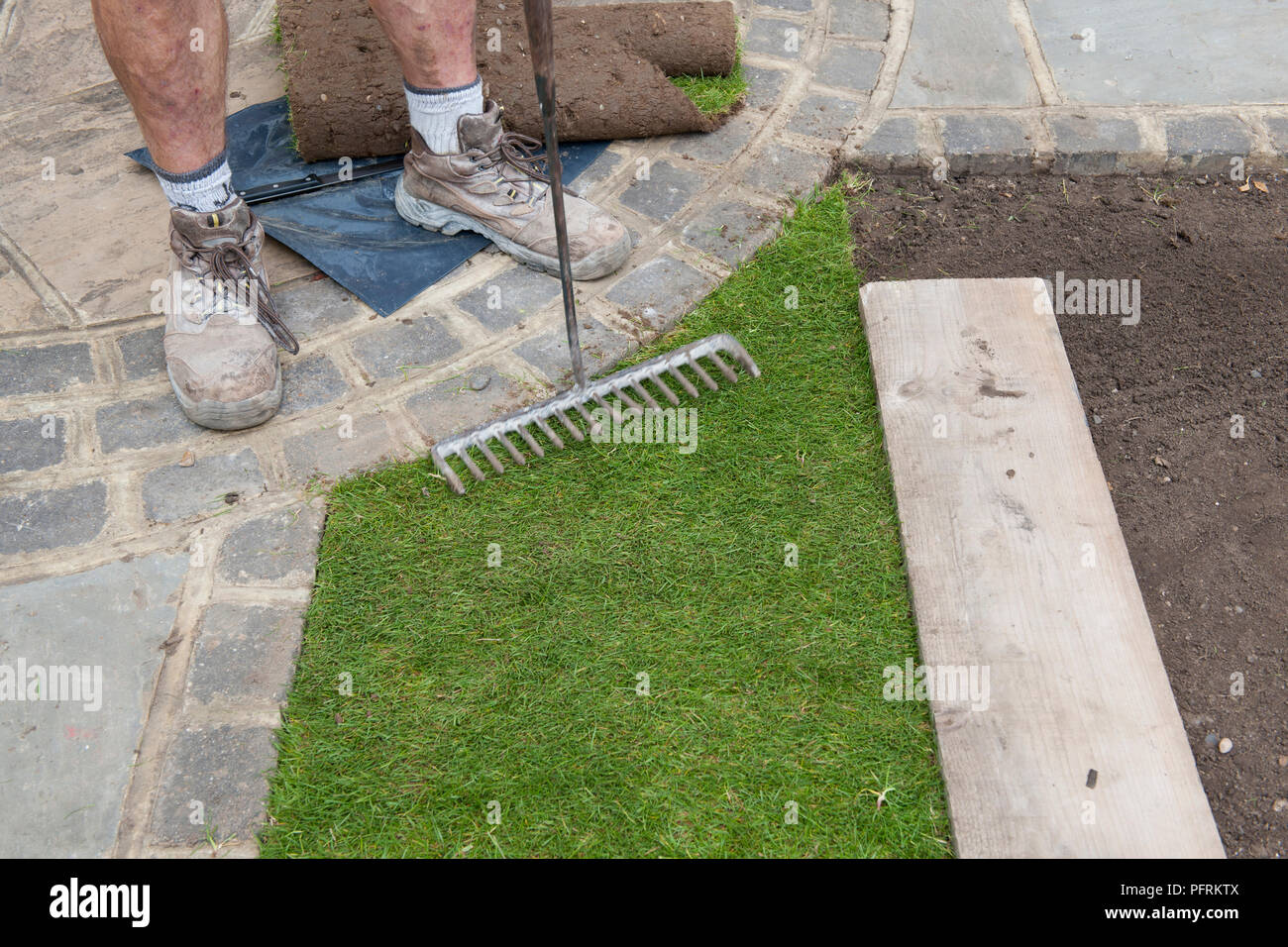 Laying turf, tamping down with rake, closeup Stock Photo Alamy