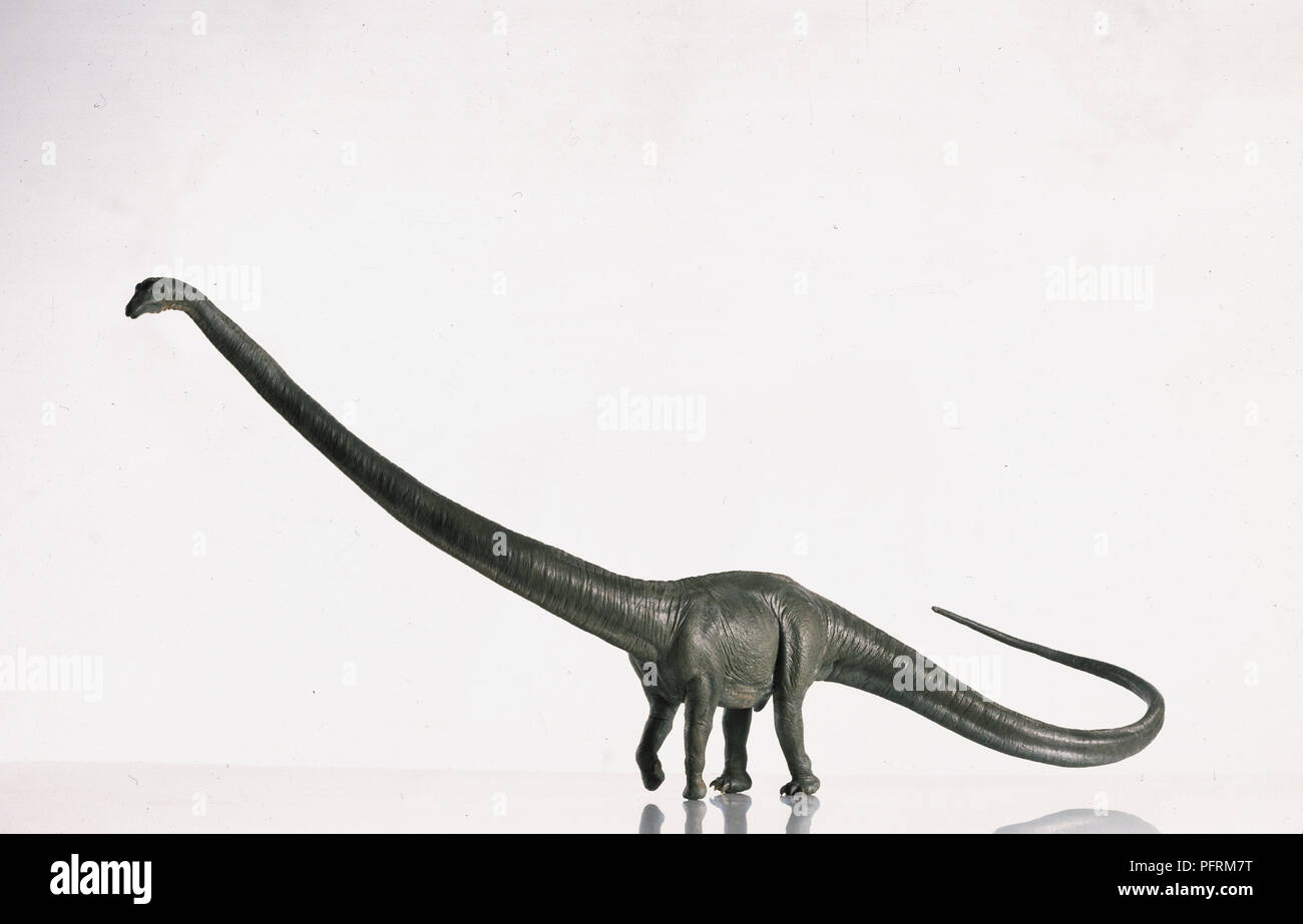 Side view of Barosaurus Stock Photo